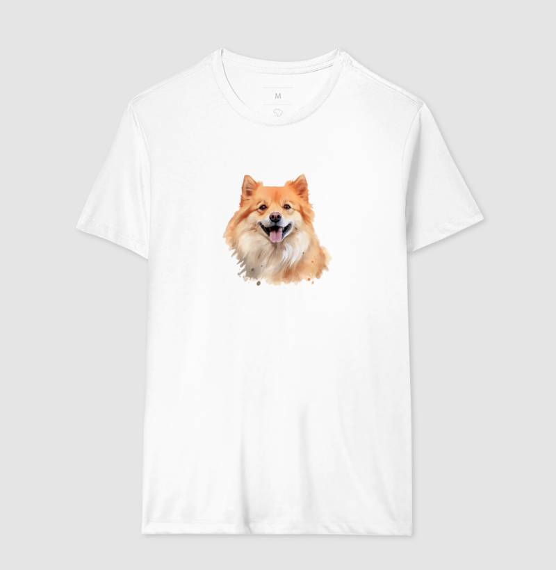 Spitz Orange
