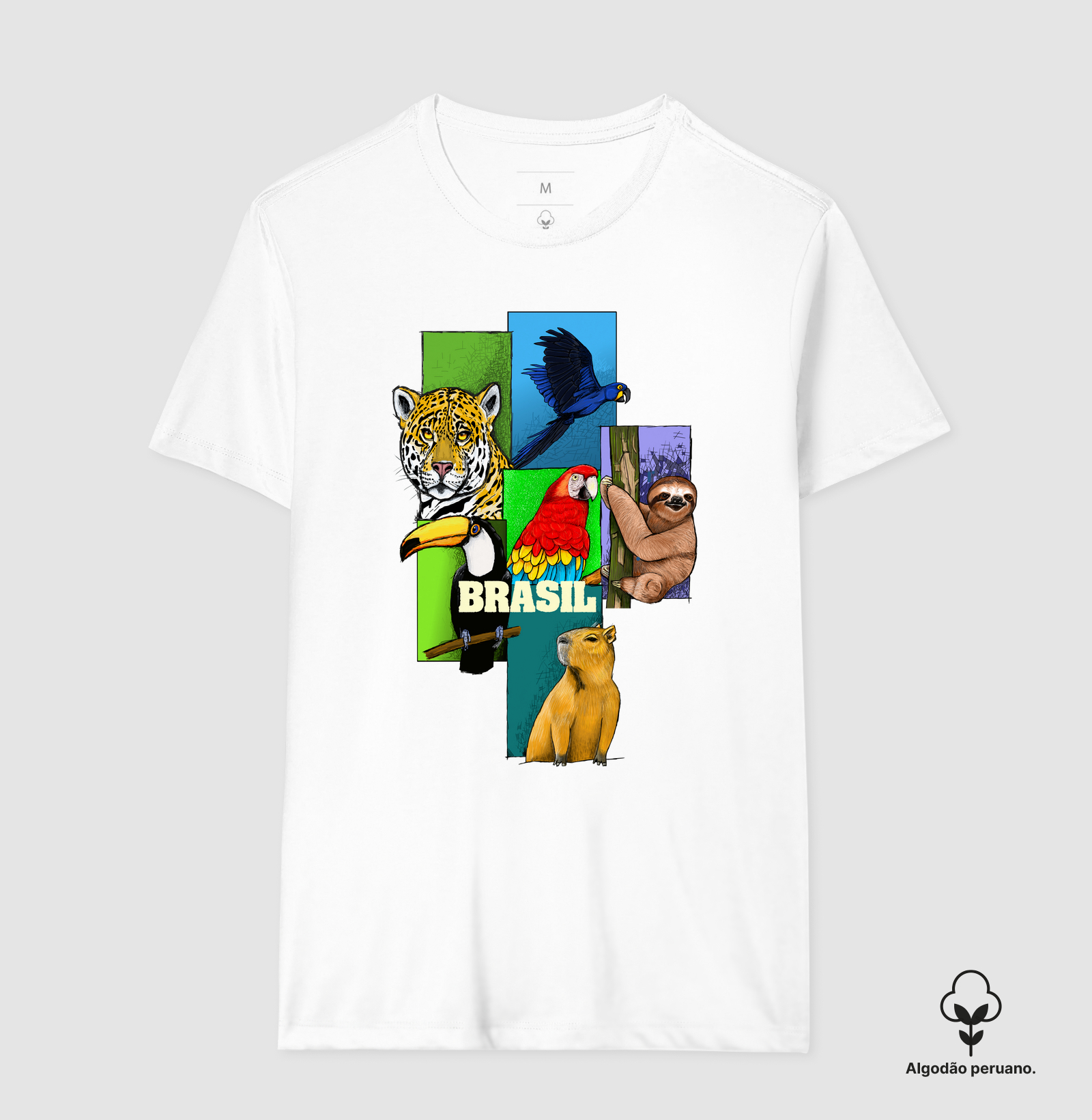 Camisa 6