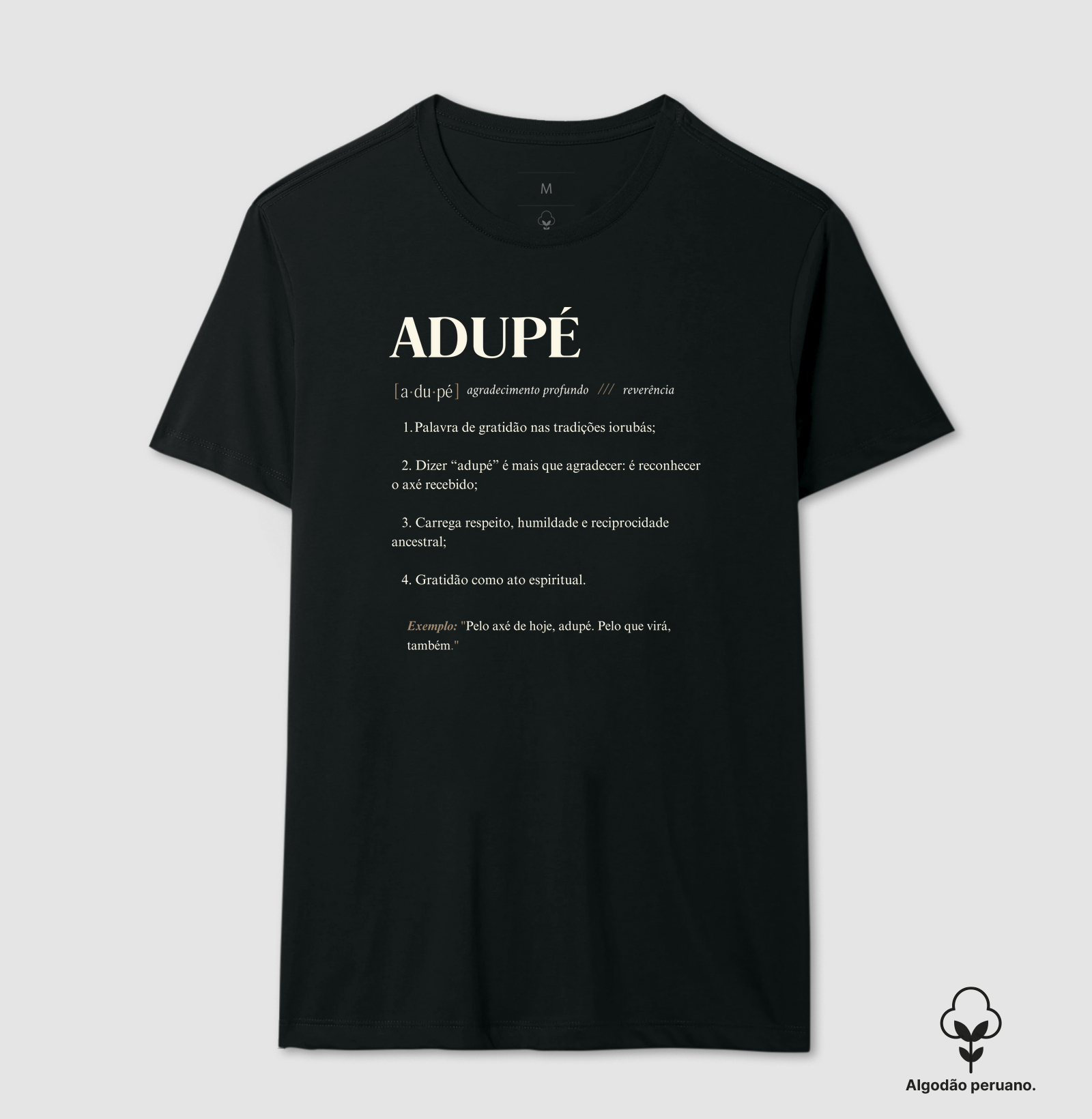 Camisa 1