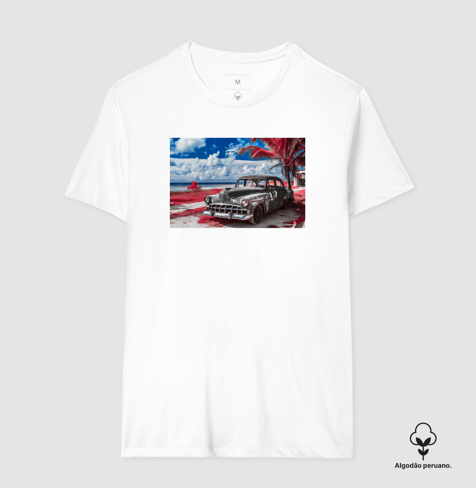 Camisa 6