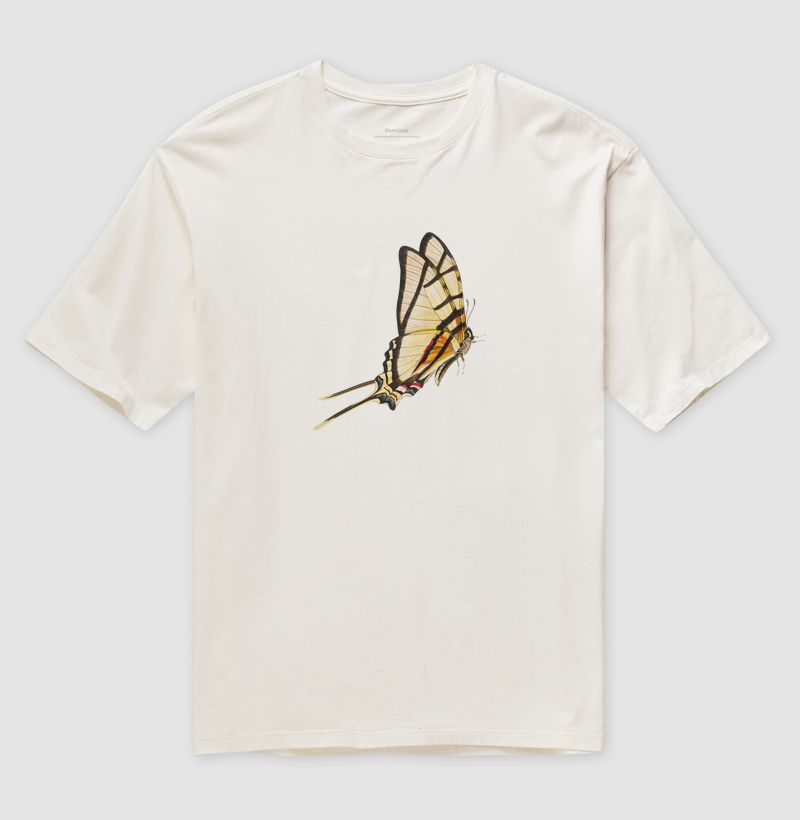 Borboleta