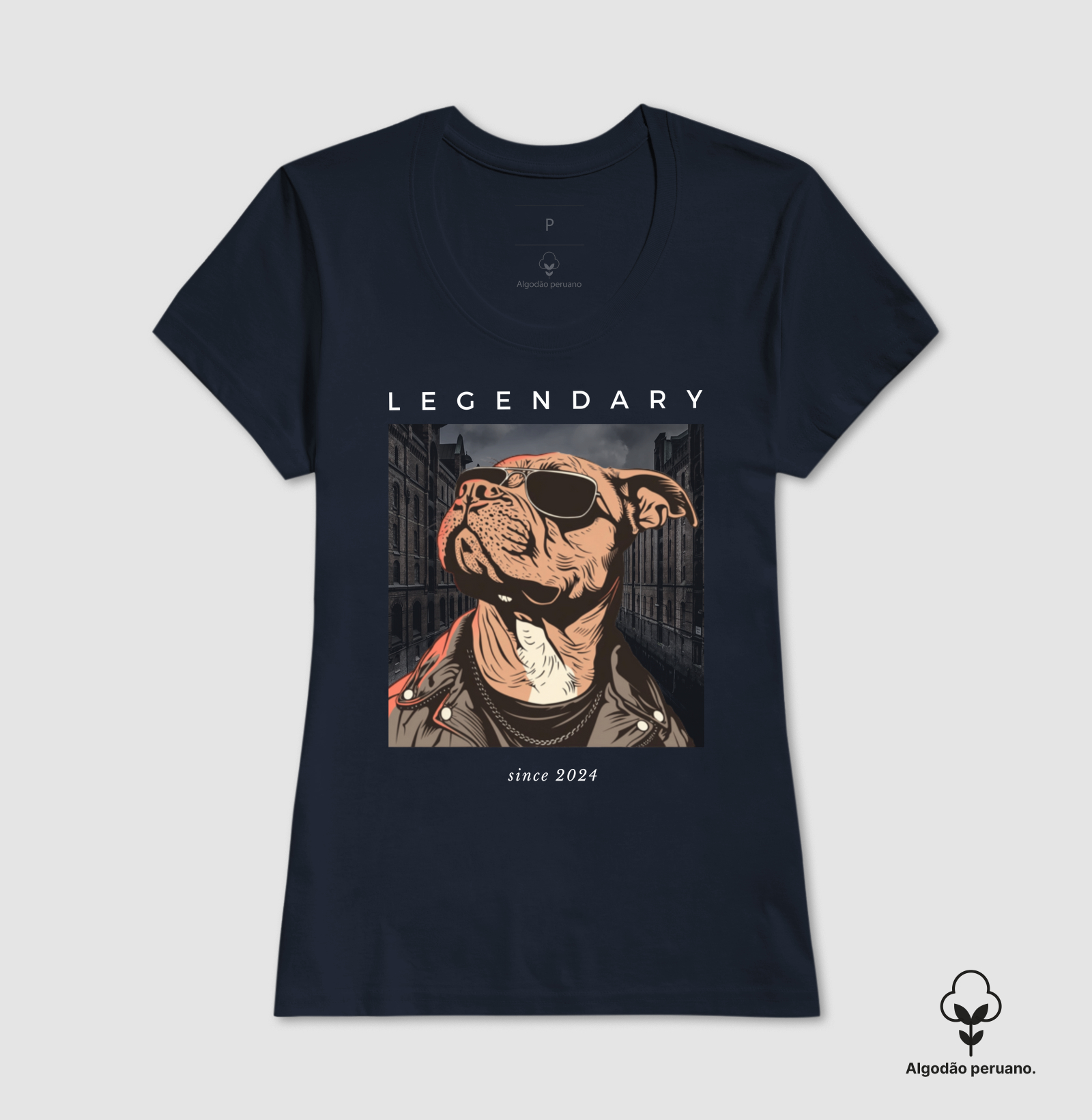Camisa 6