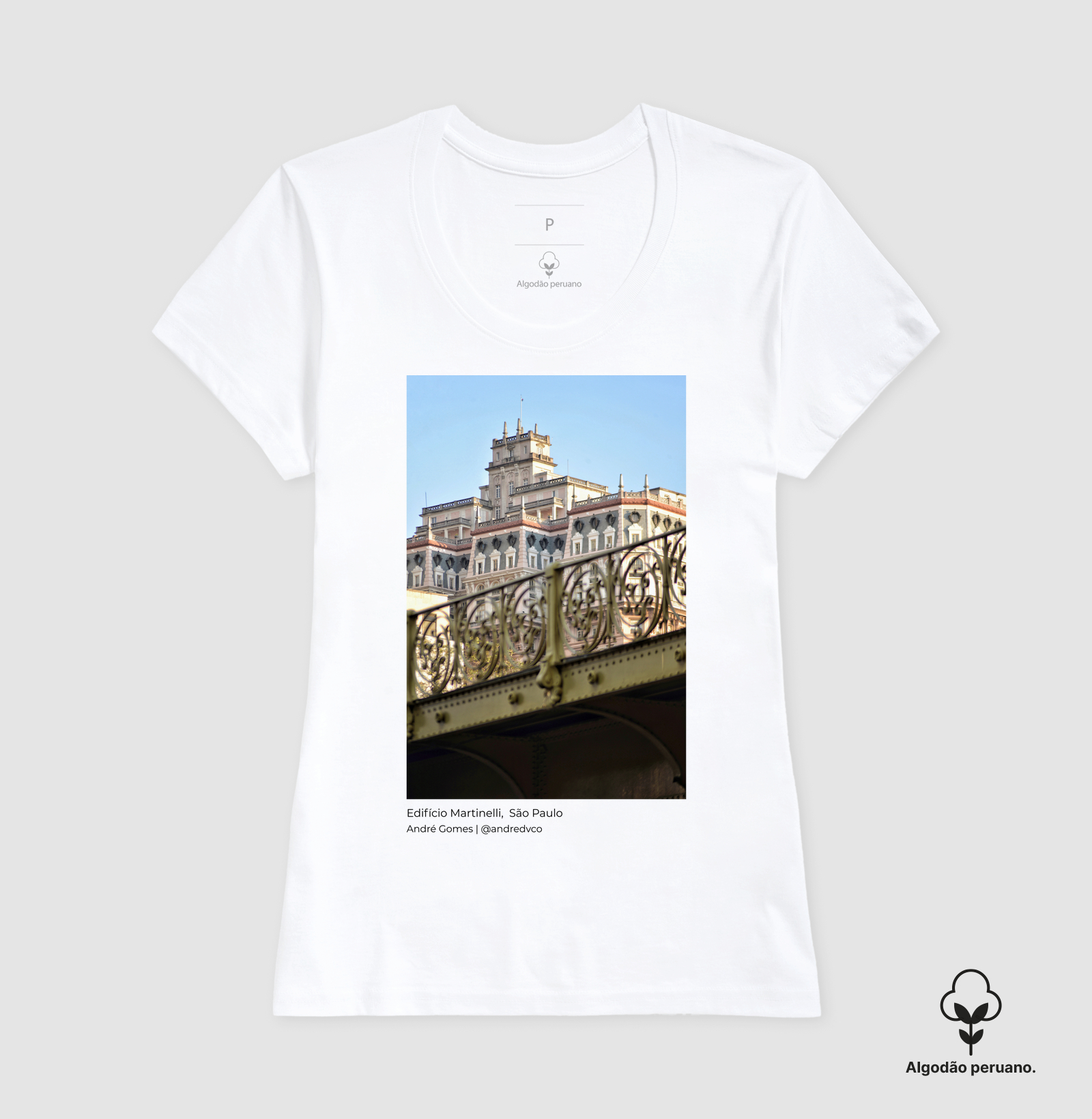 Camisa 2
