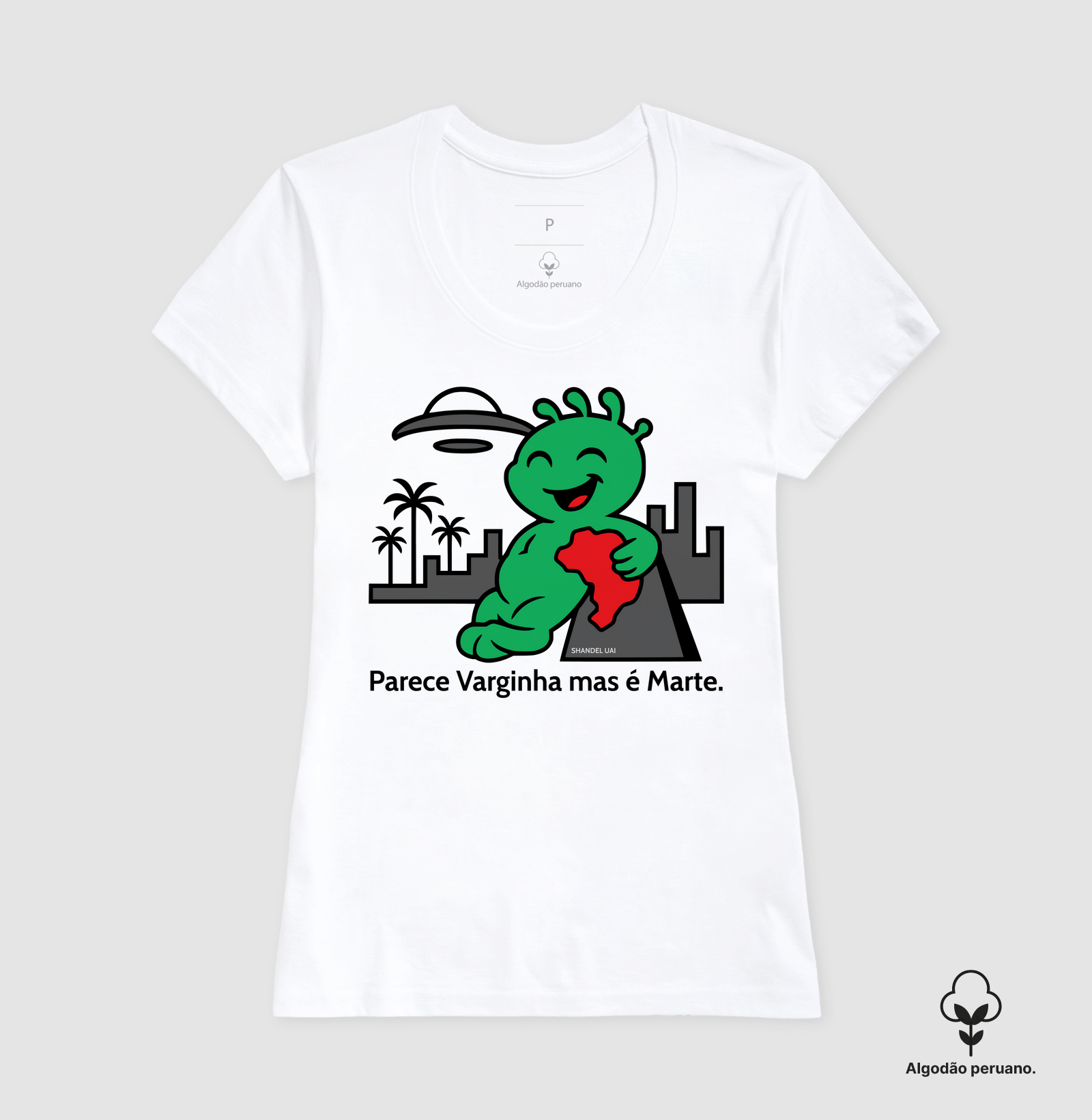 Camisa 2