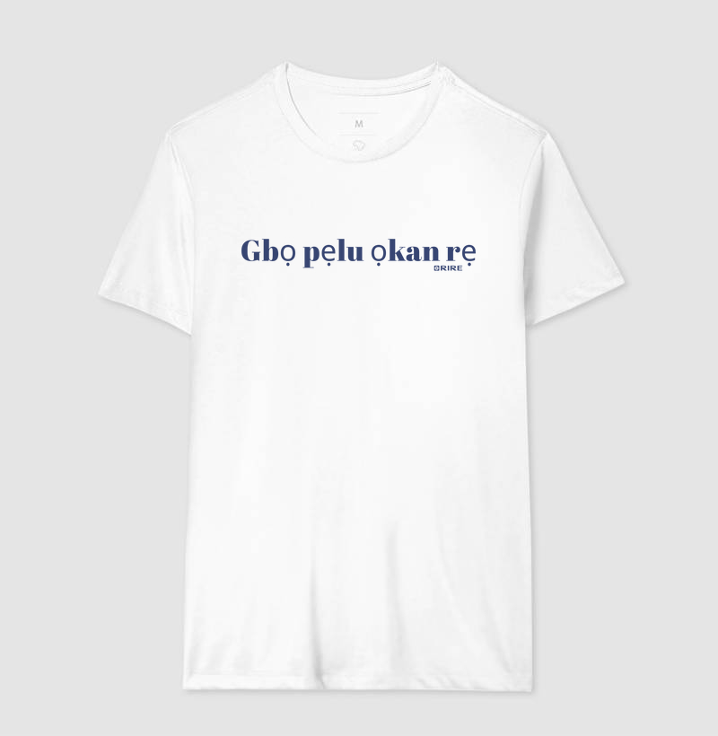 Camisa 17