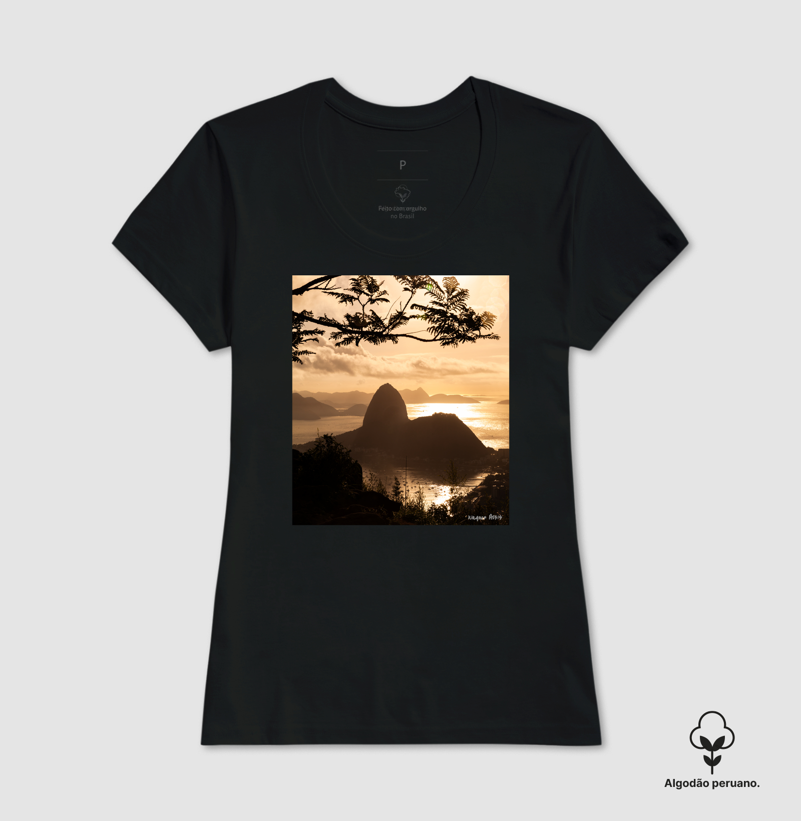 Camisa 2