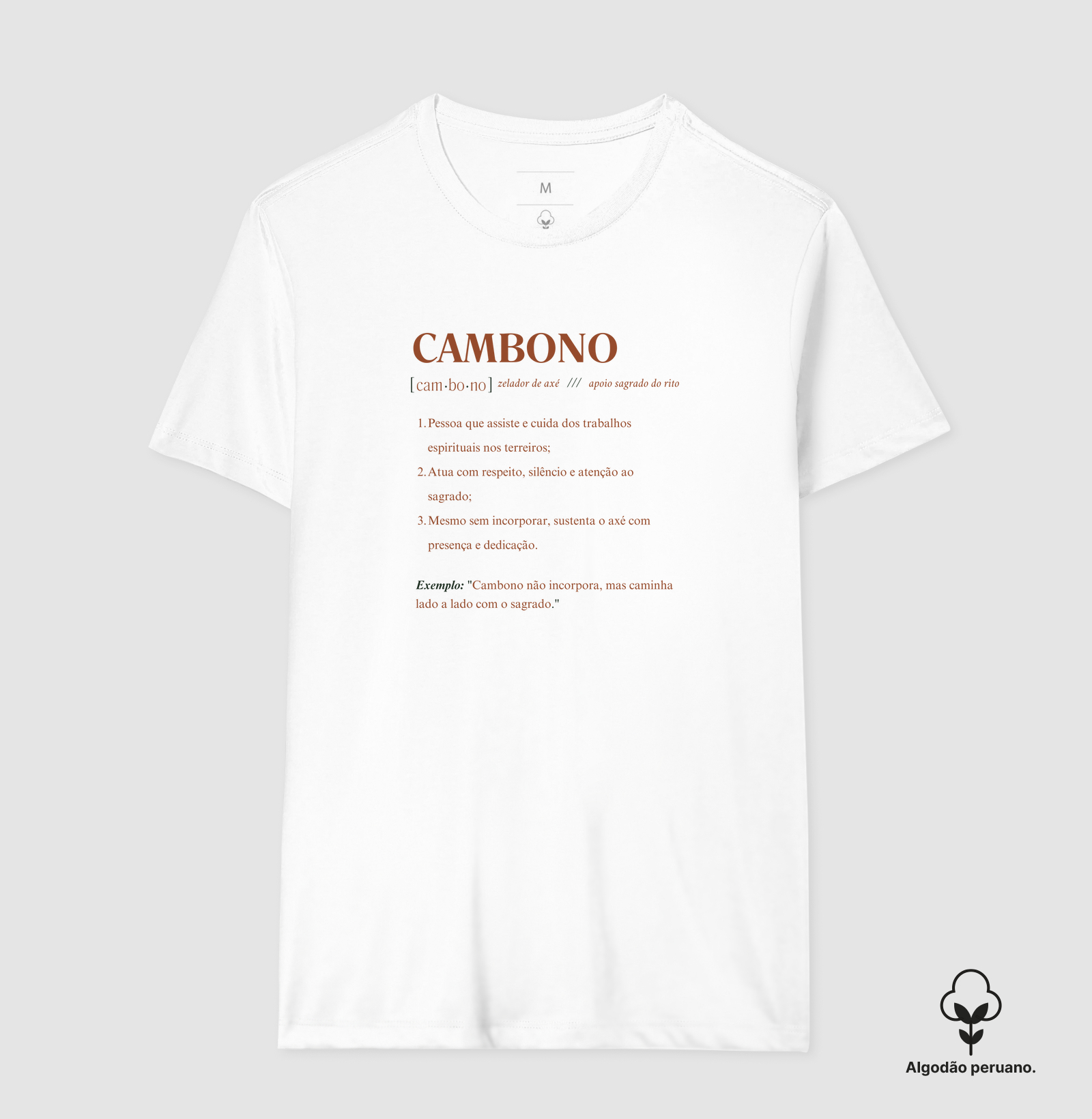 Camisa 5