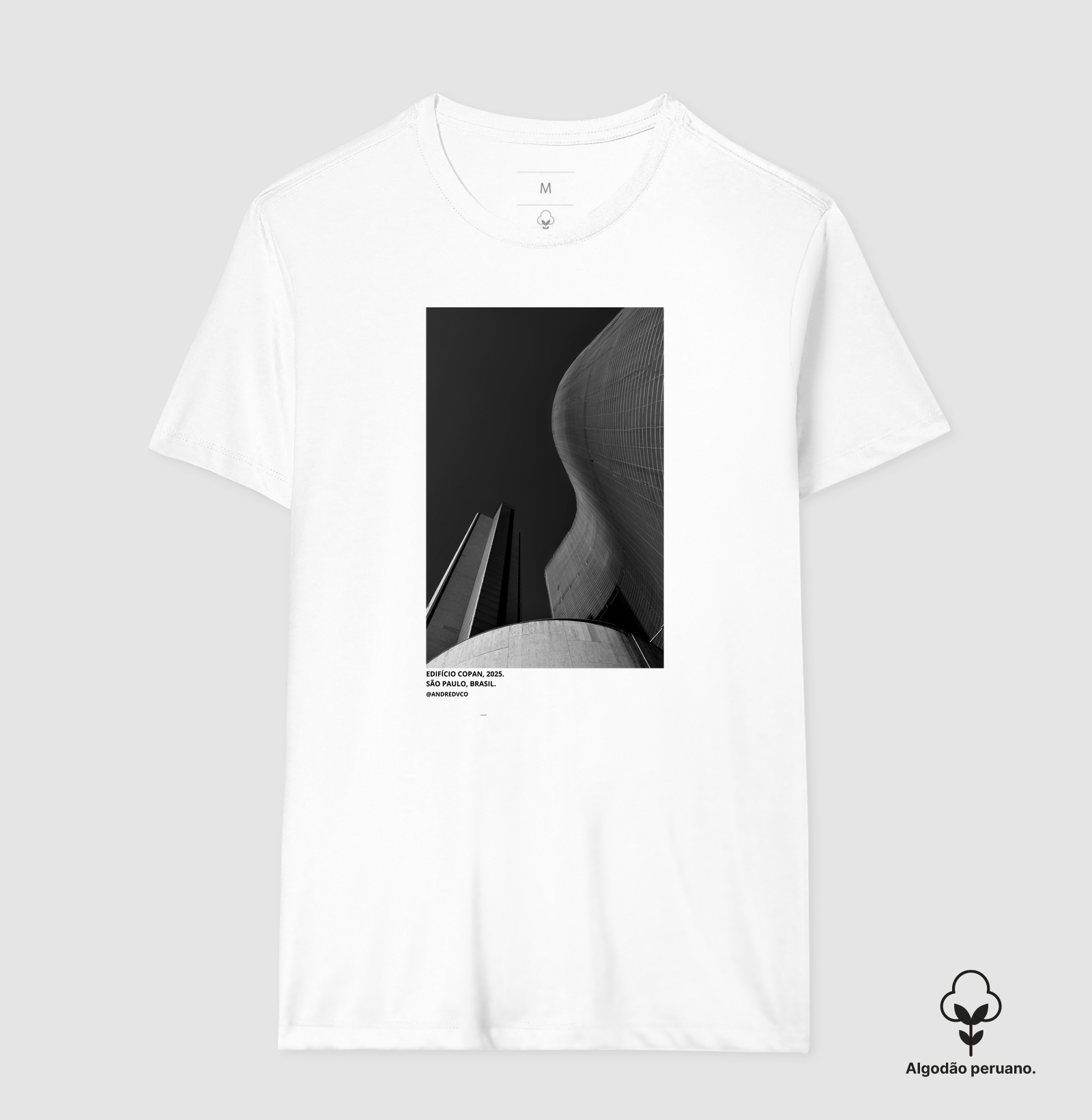 Camisa 1