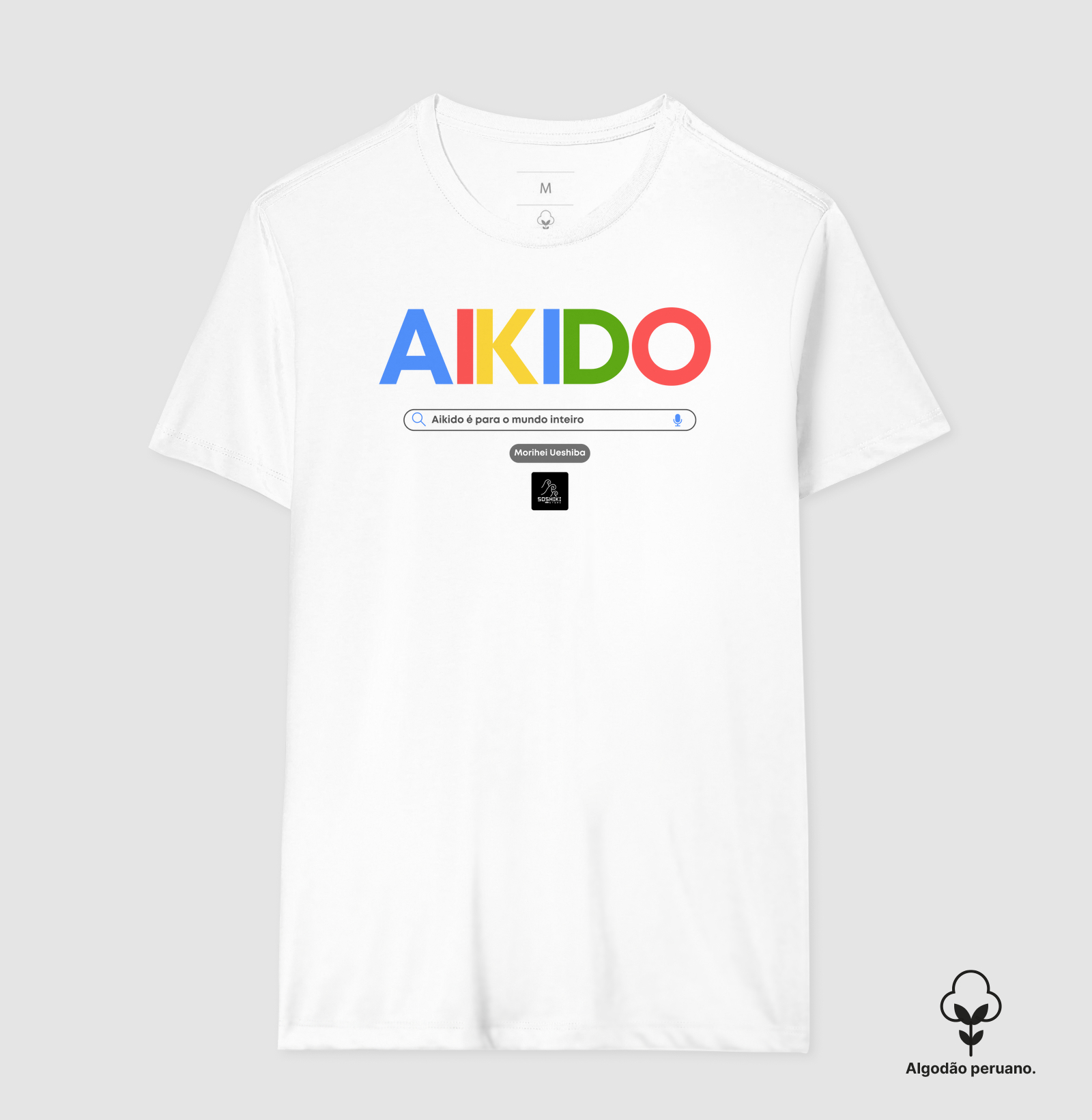 Aikido Google