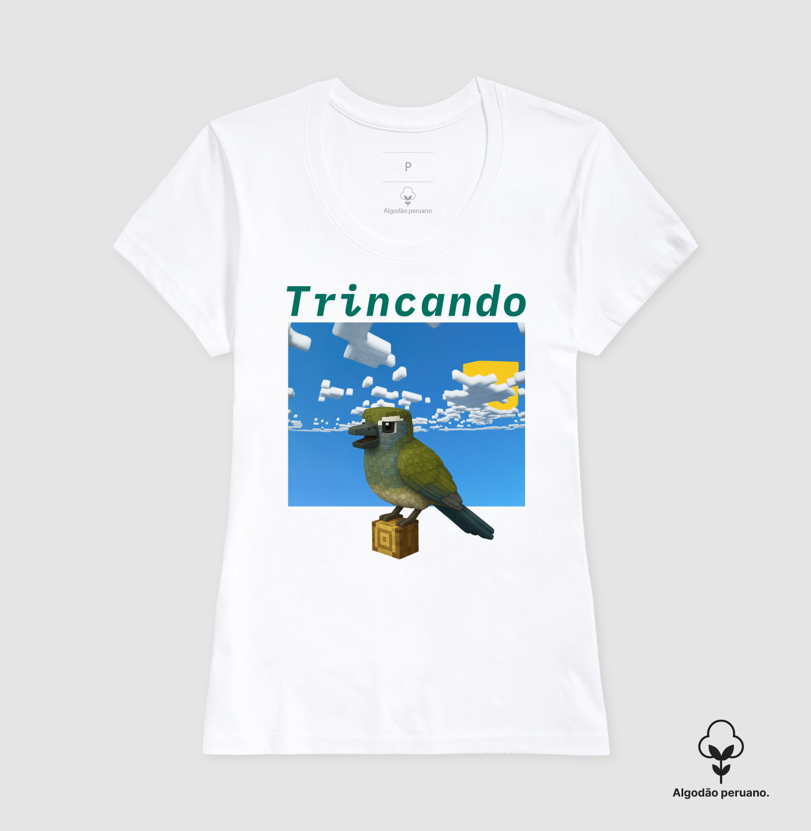 Camisa 2