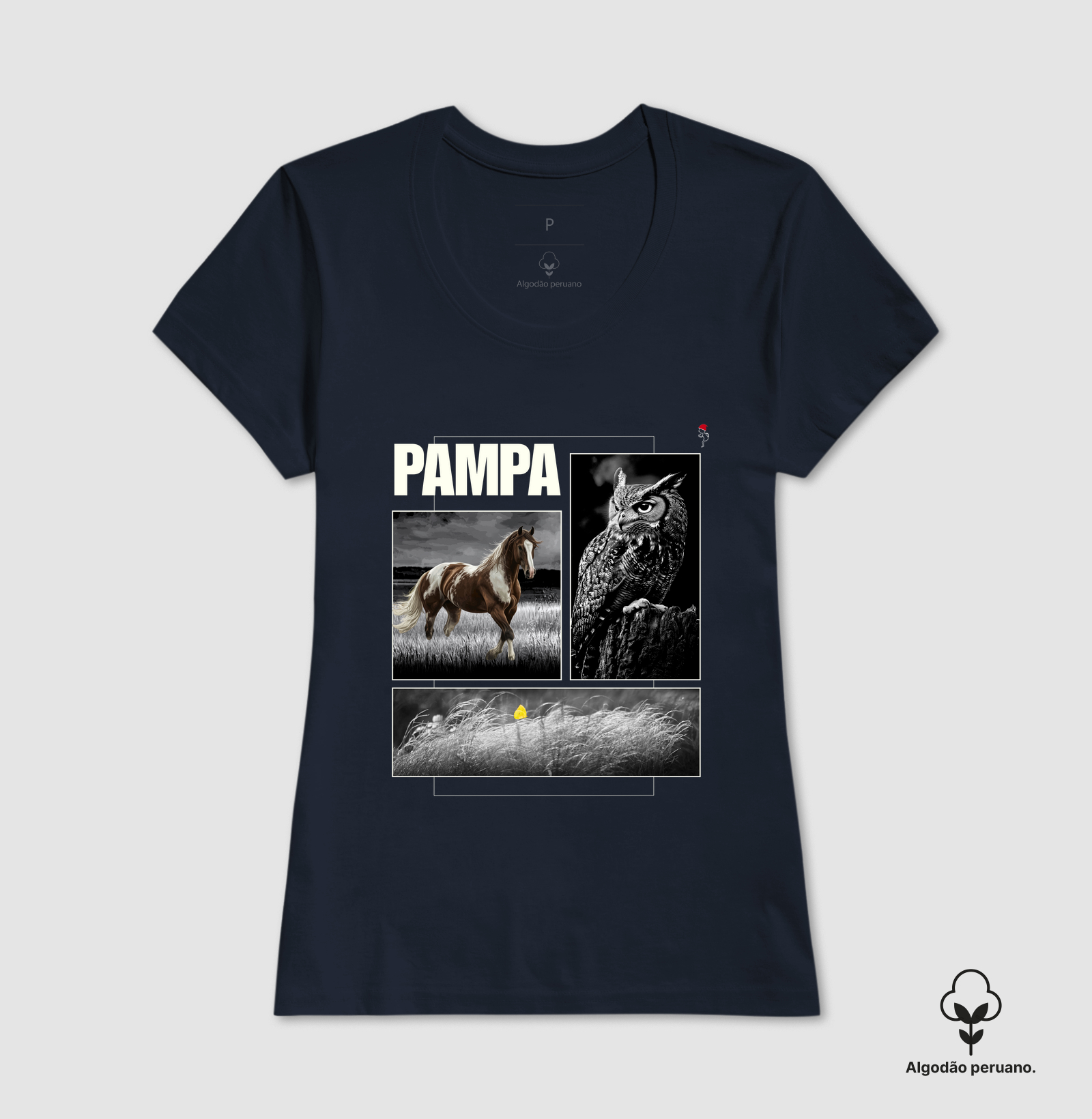 Camisa 6