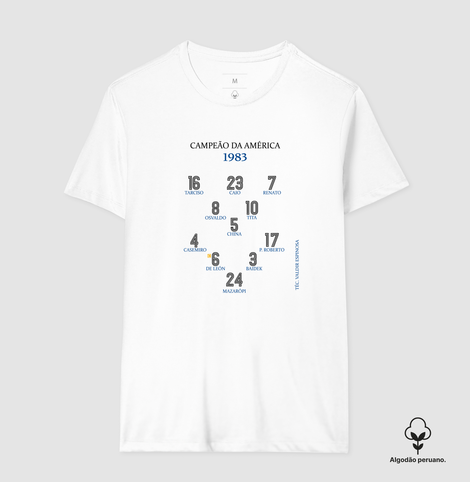 Camisa 3