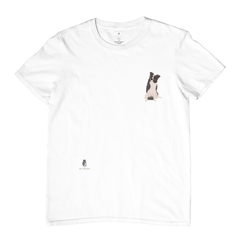 Border Collie 4