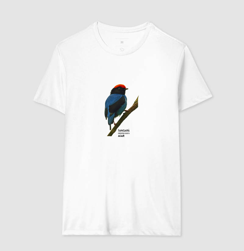 Camisa 16
