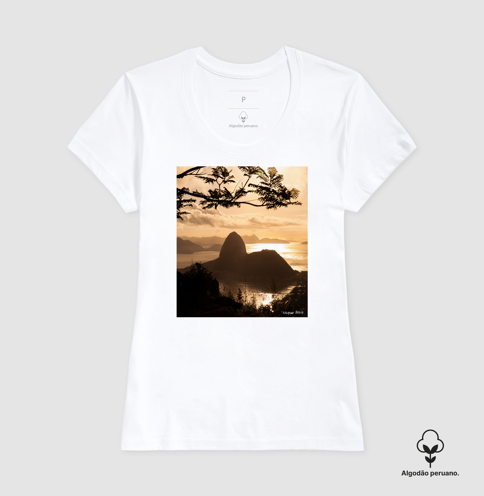 Camisa 3