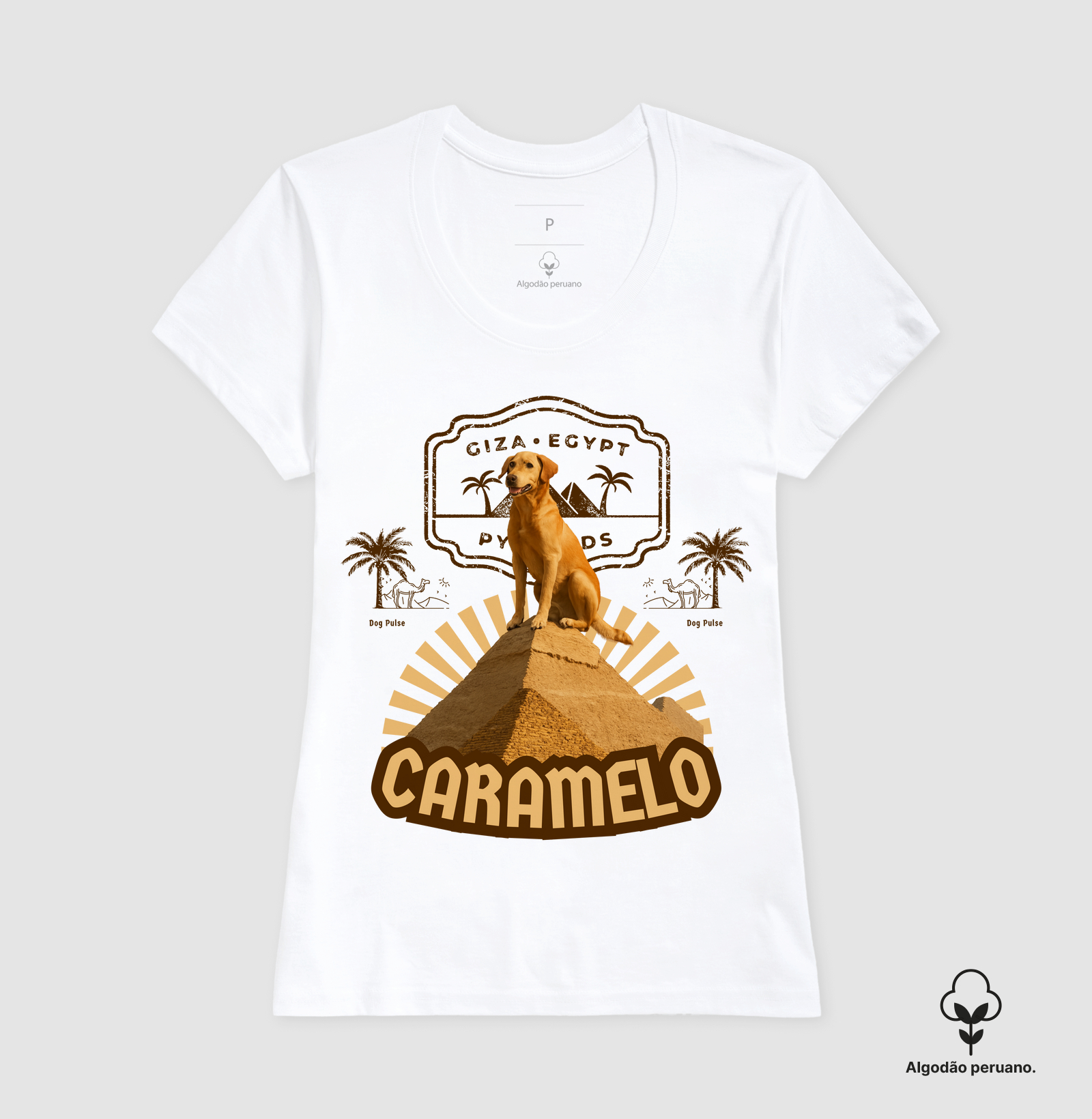 Camisa 2