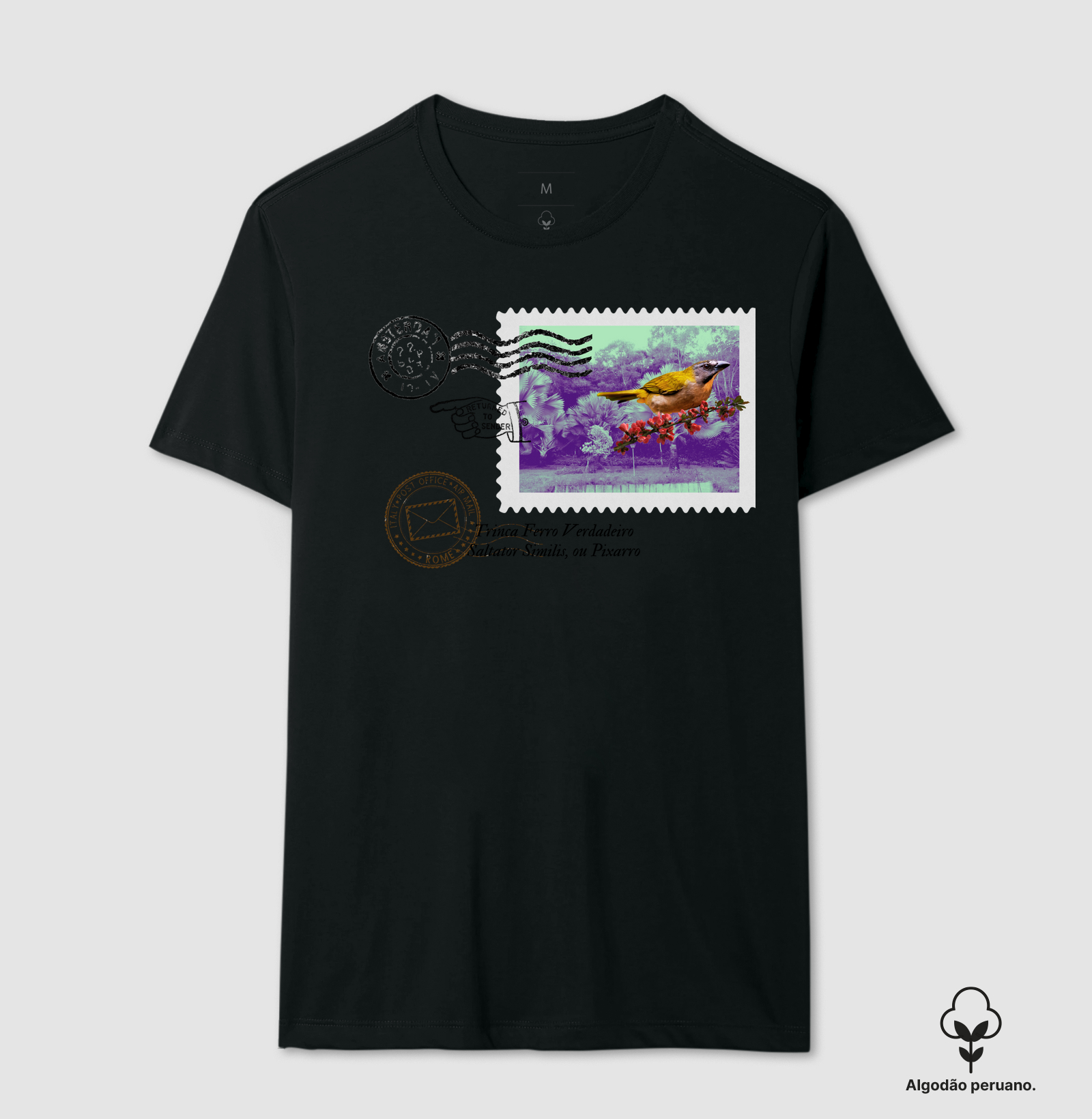 Camisa 1