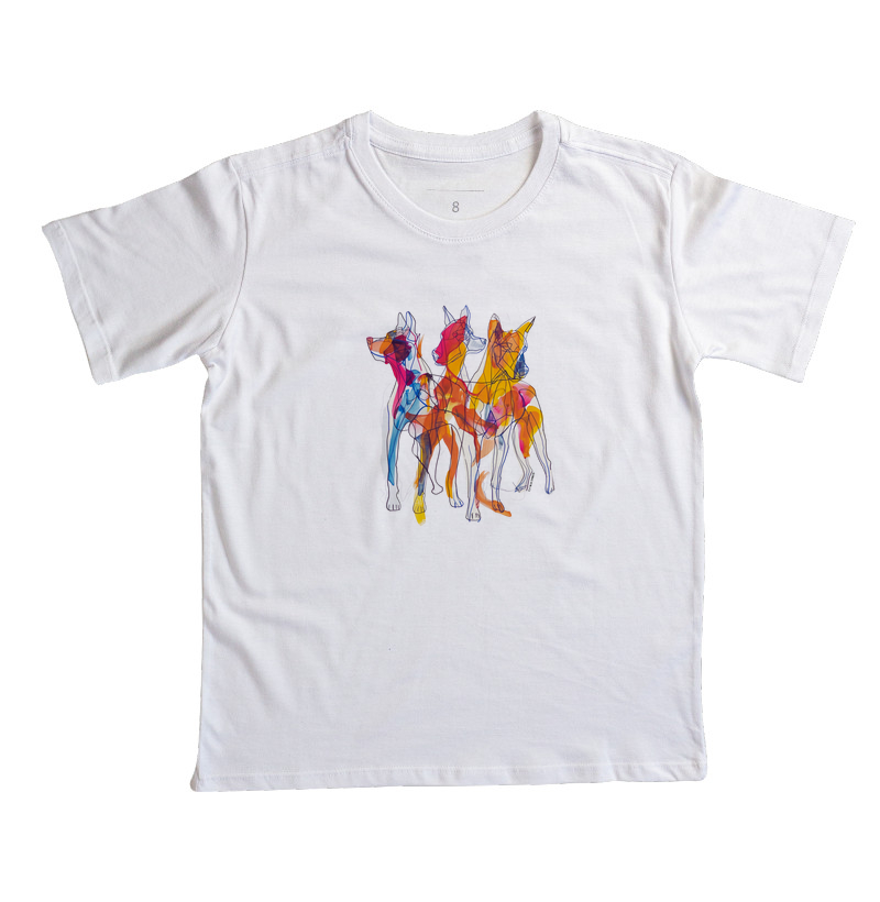 Camisa 1