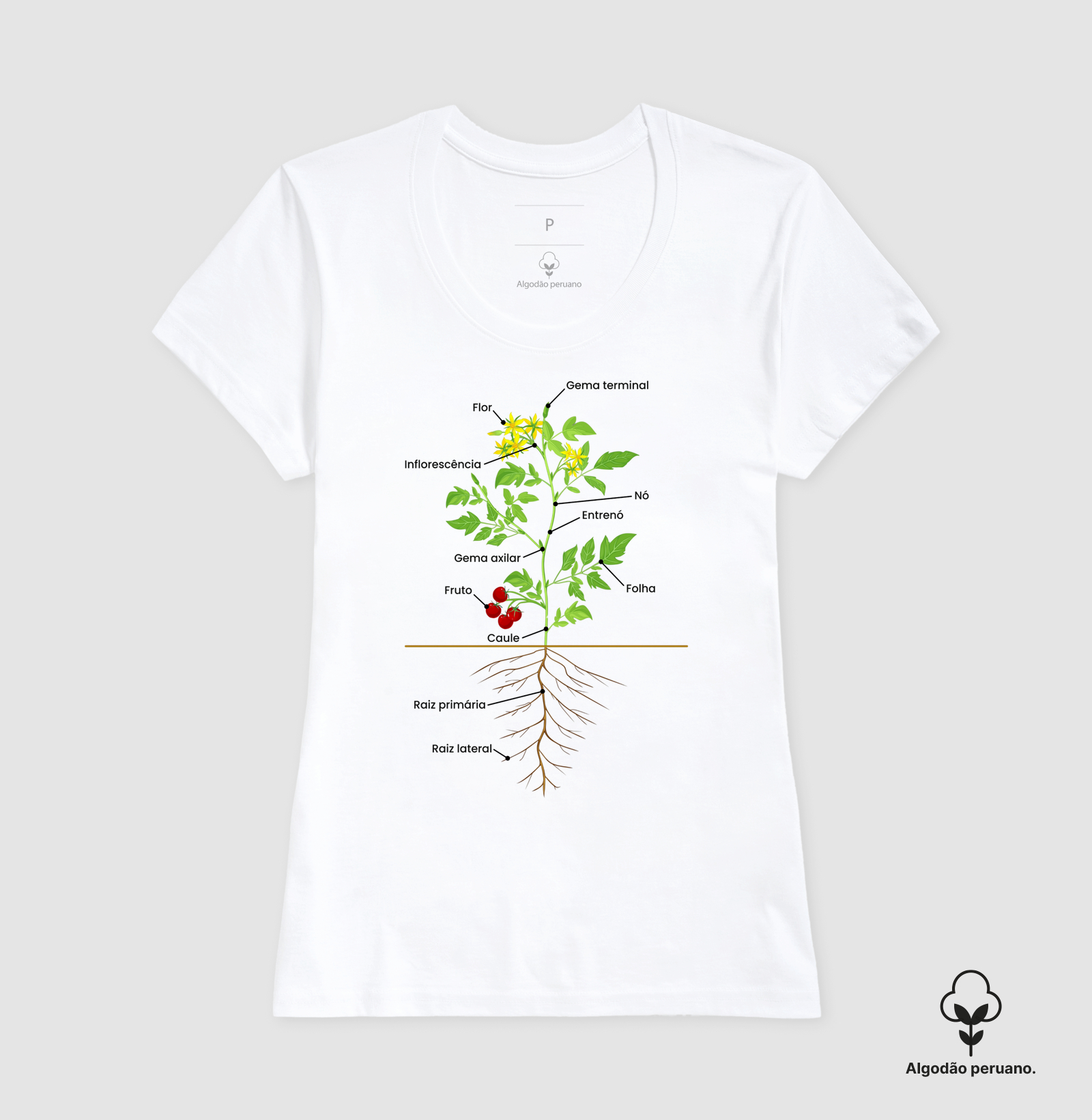 Camisa 4
