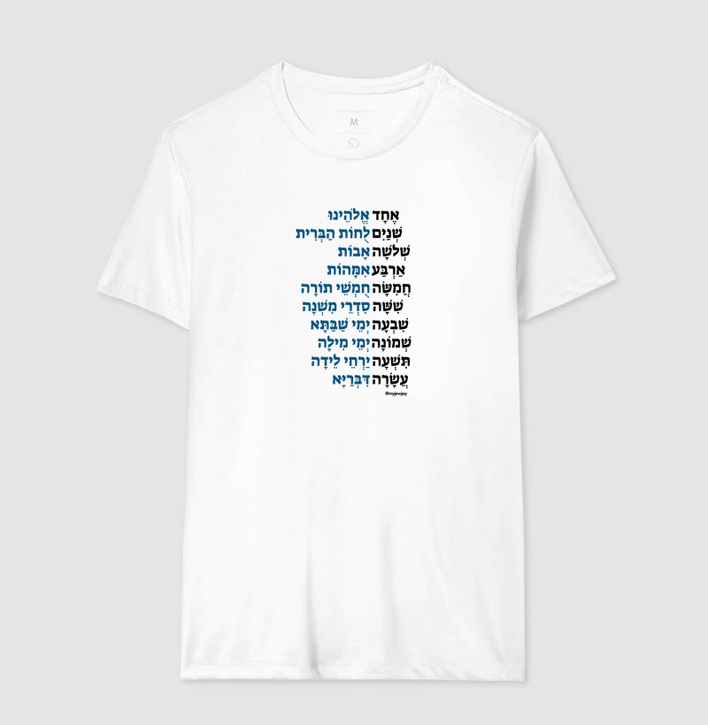 Camisa 6