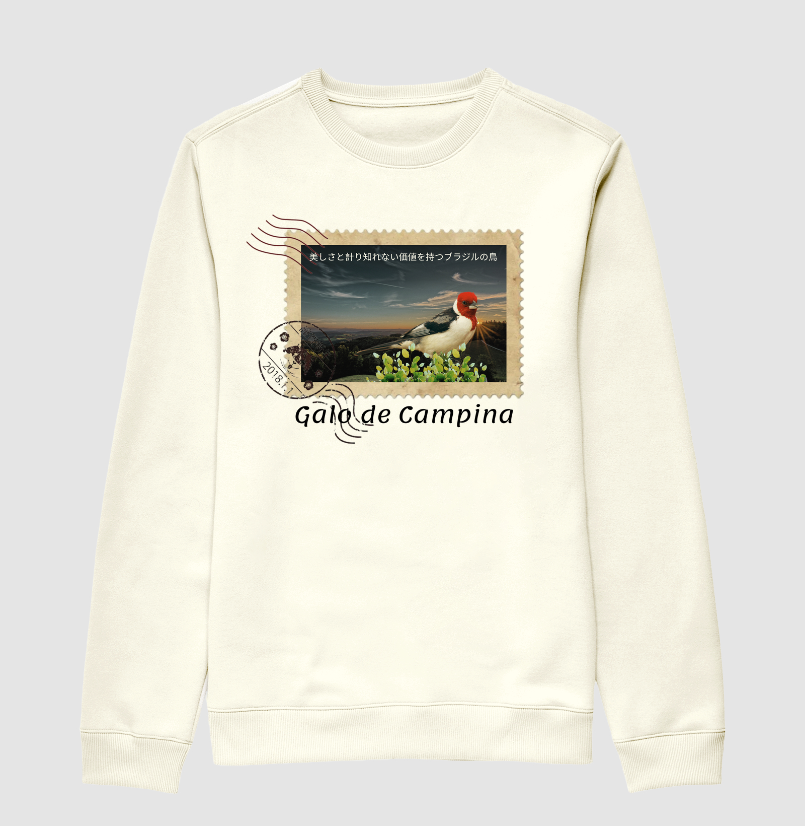 Camisa 1