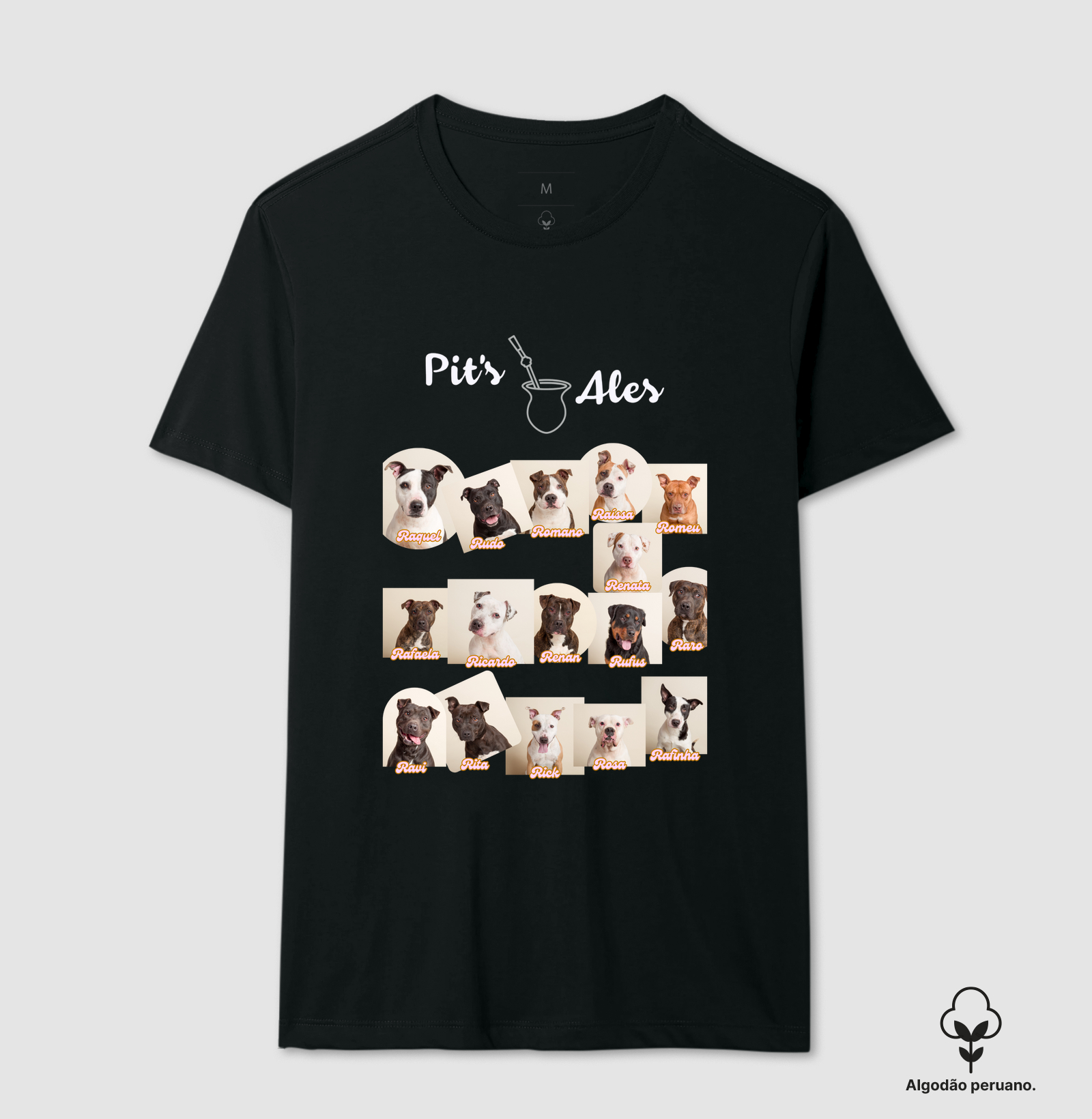 Camisa 1