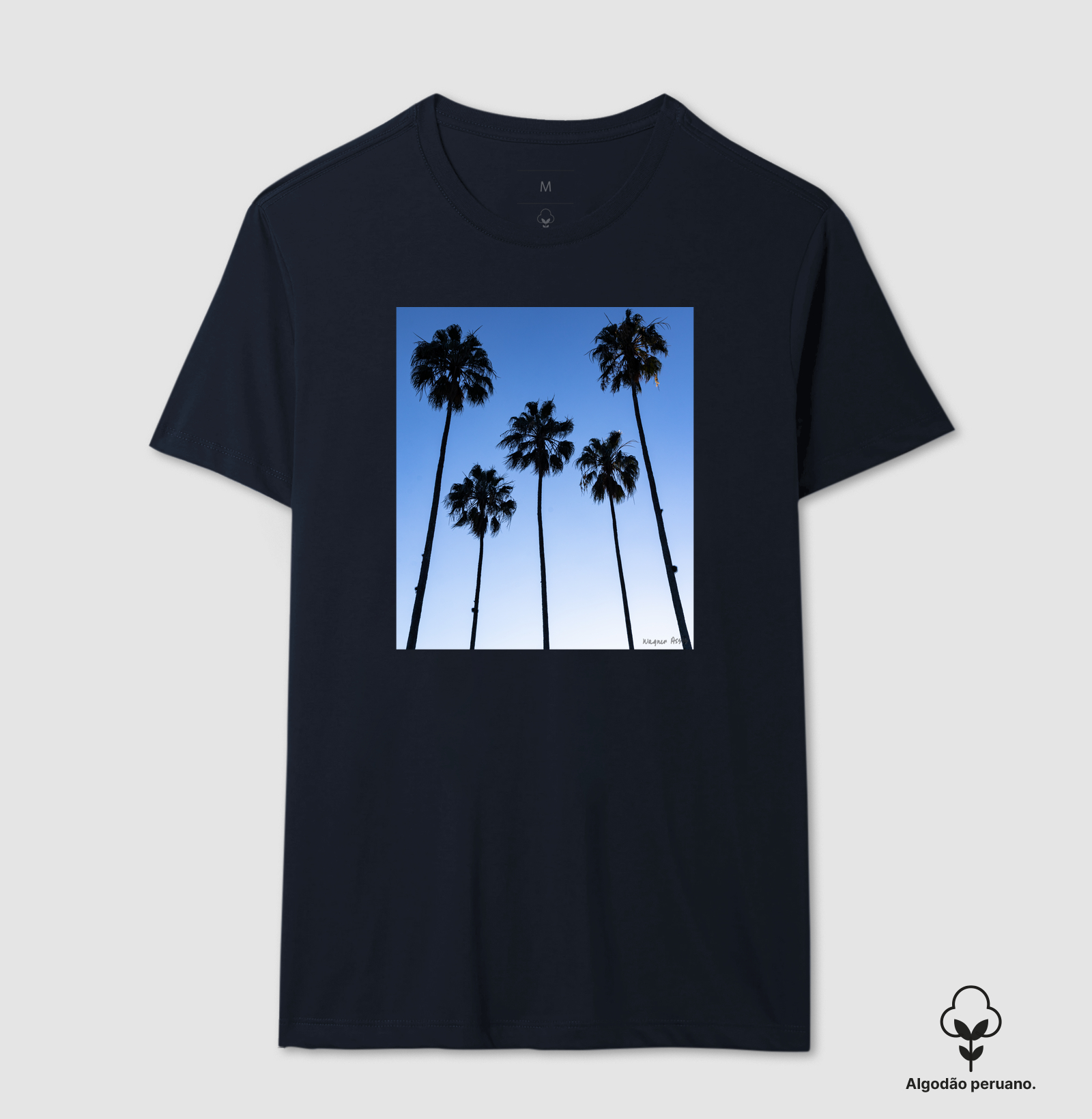 Camisa 6