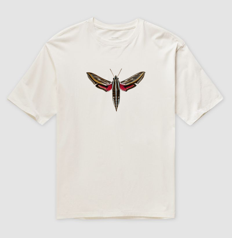 Mariposa