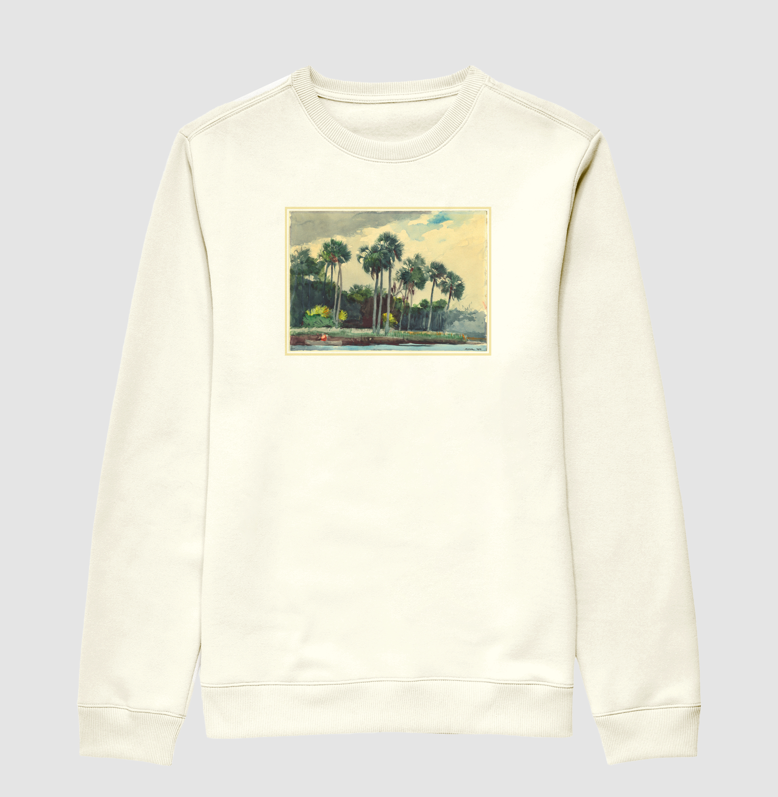 Camisa 1