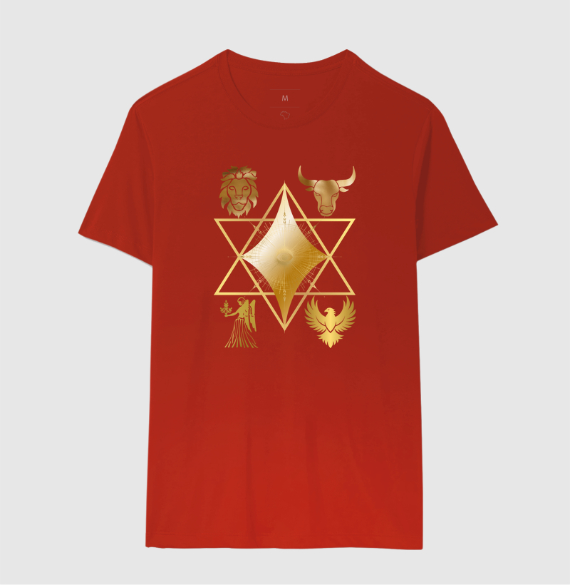 Camisa 10