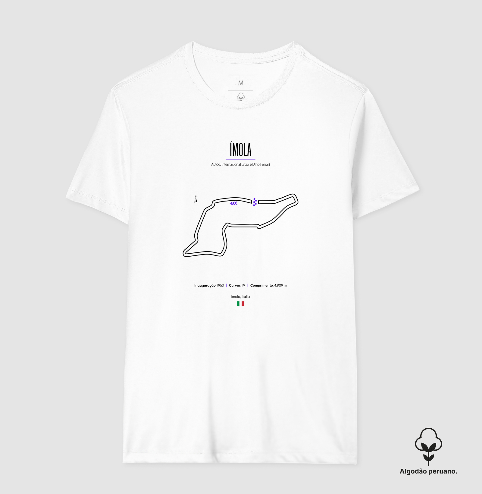 Camisa 6