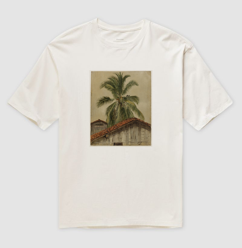 Palm Trees and Housetops