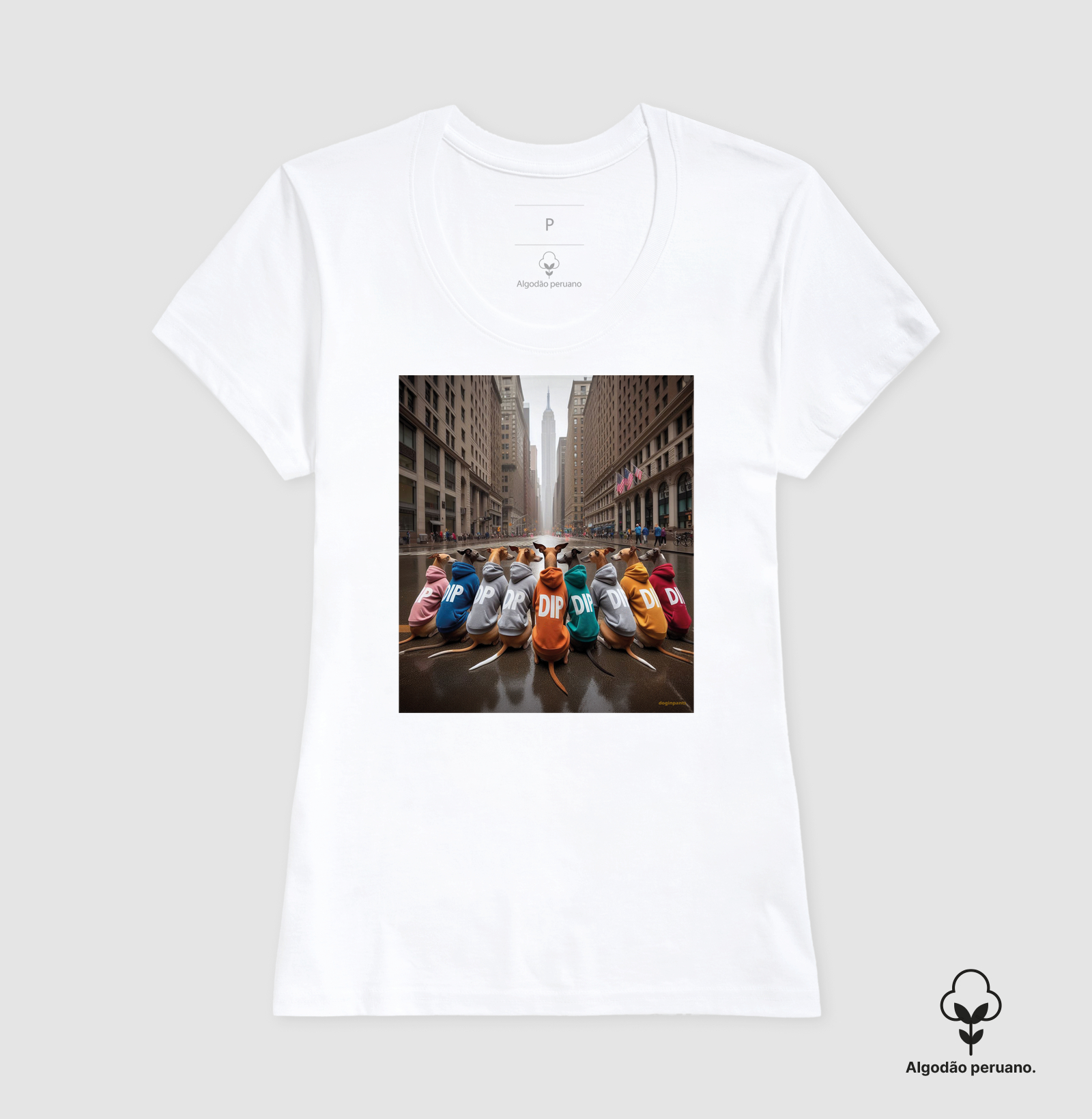 Camisa 1
