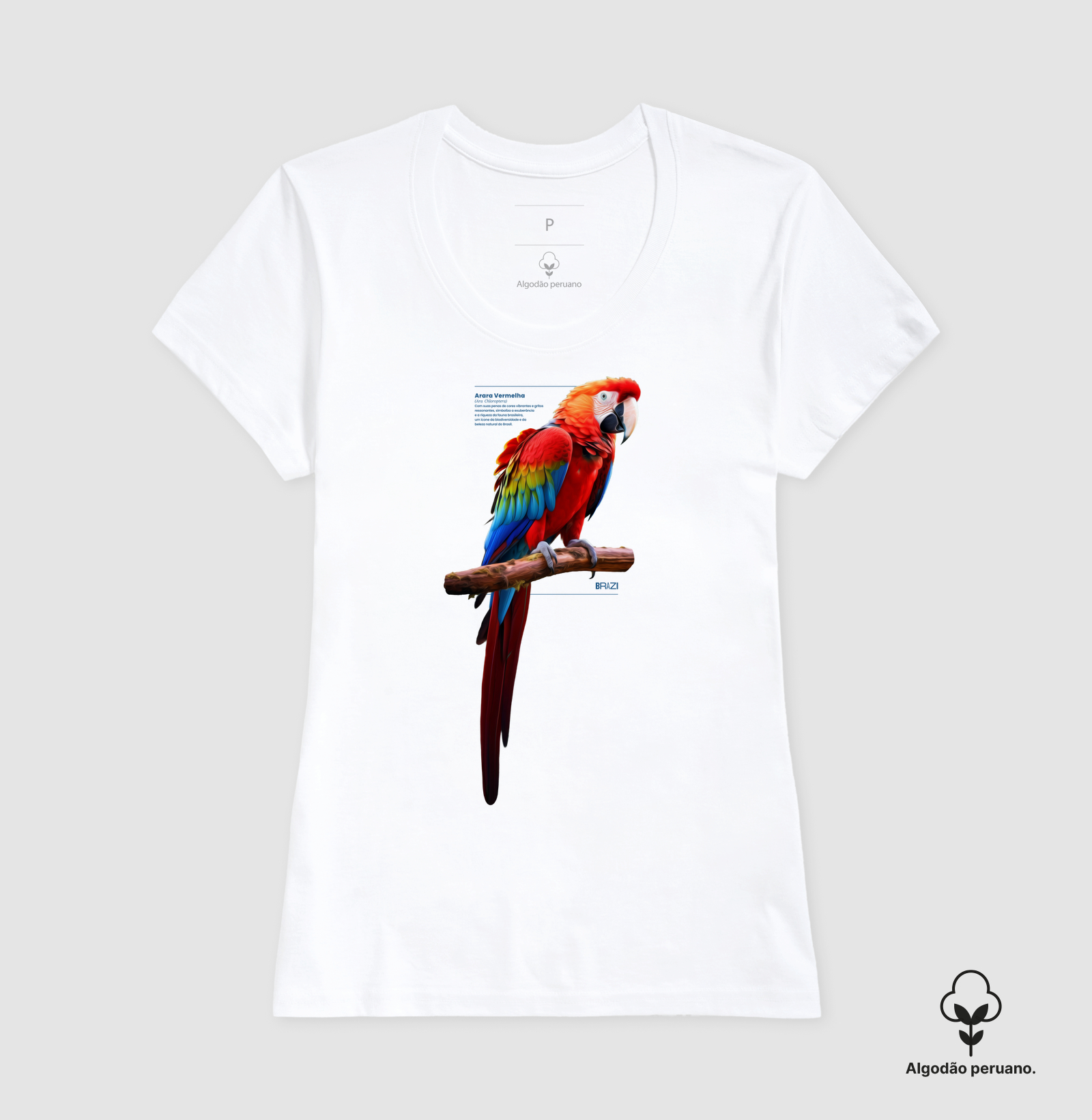 Camisa 6