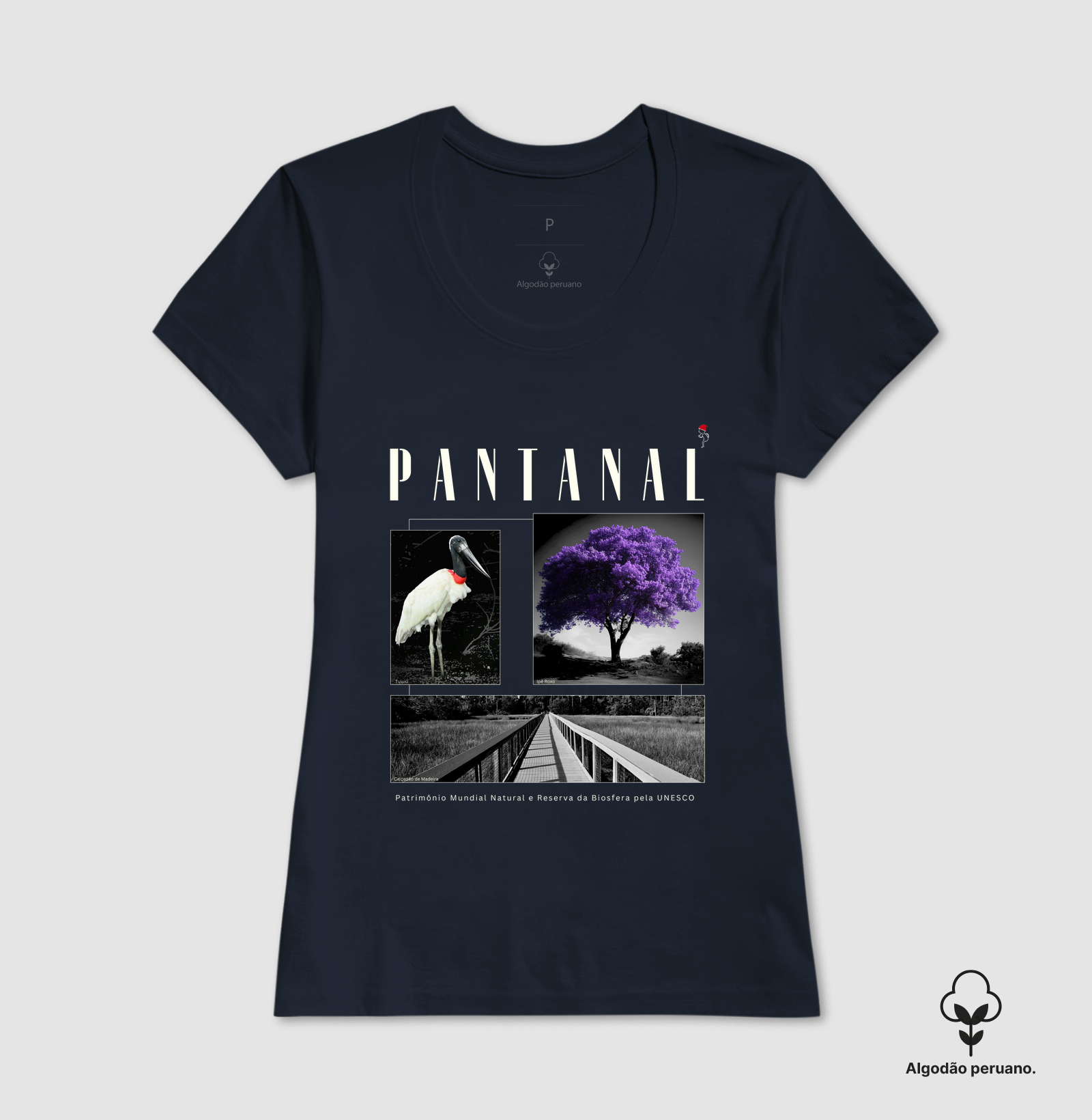 Camisa 6