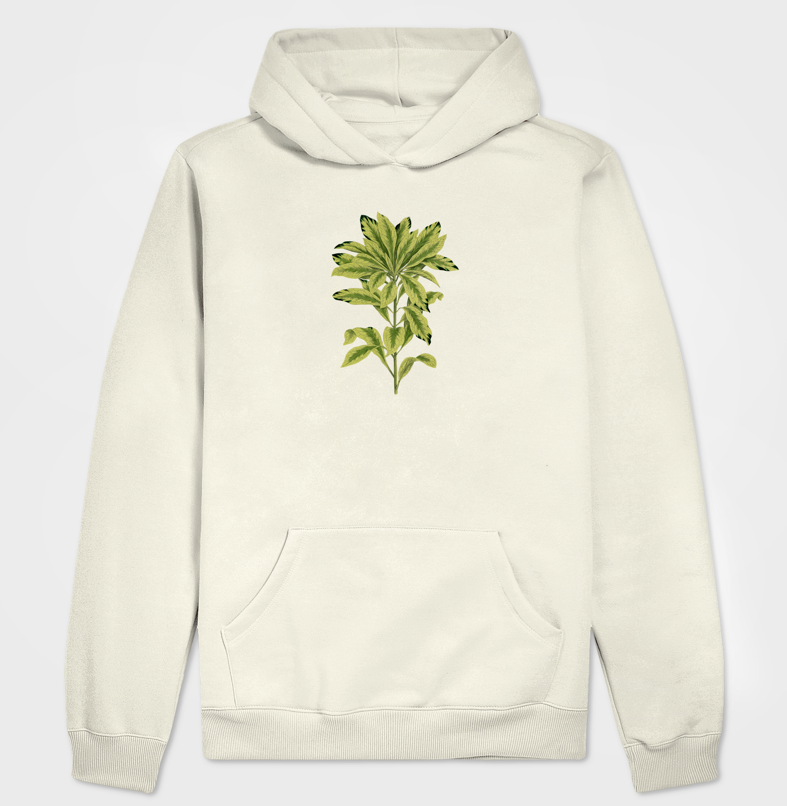Green Daphne