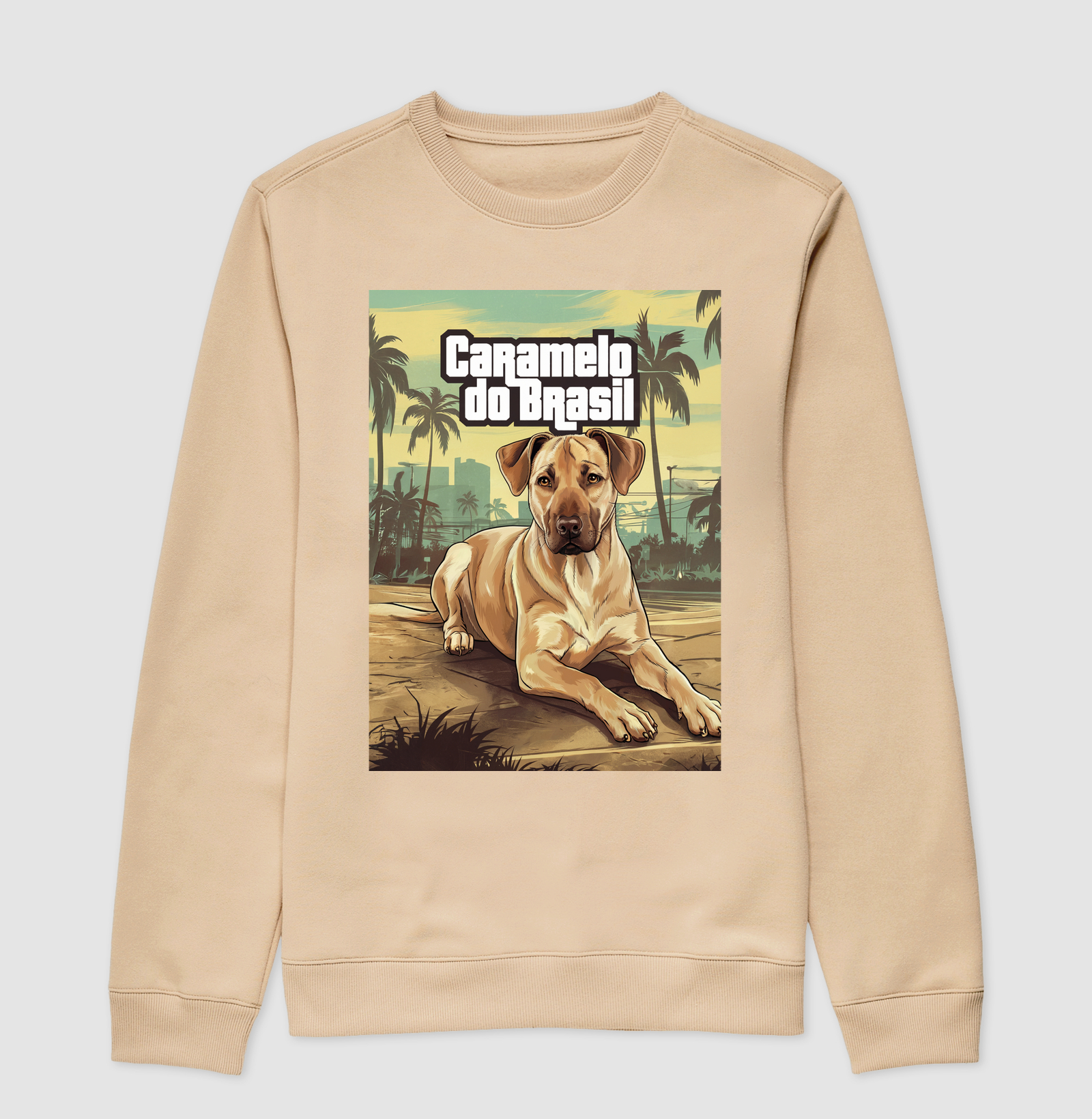 Camisa 2