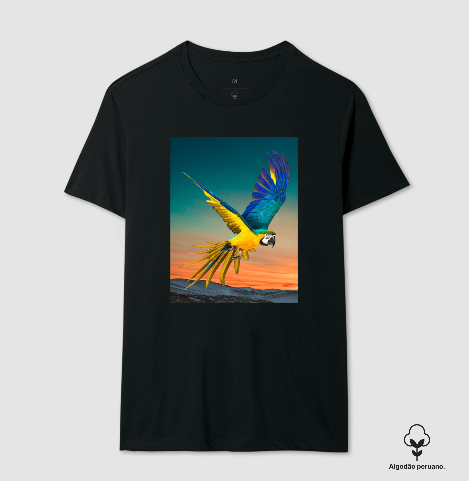 Camisa 7