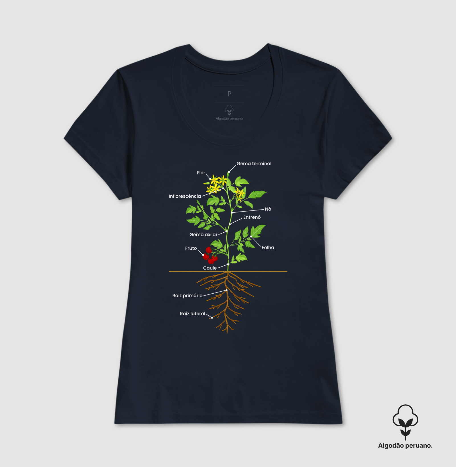 Camisa 6