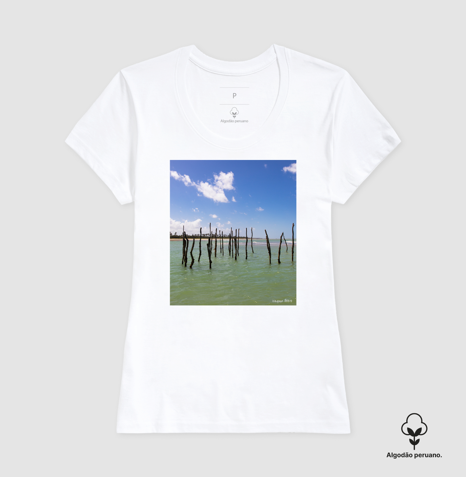 Camisa 2