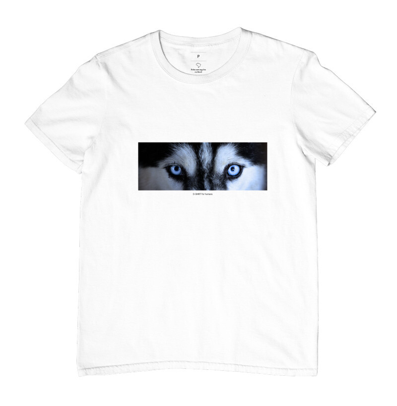 olhar de husky