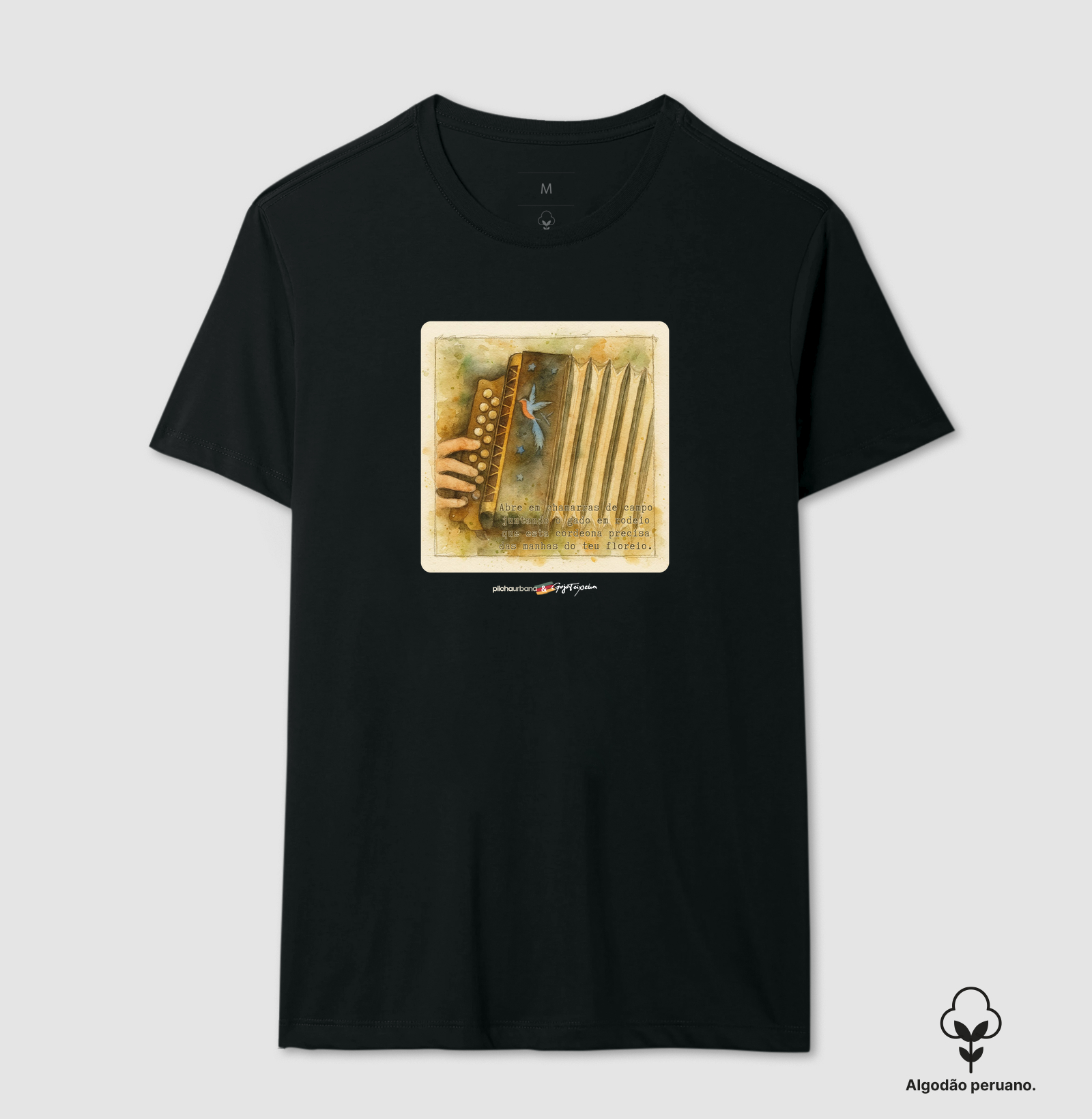 Camisa 6
