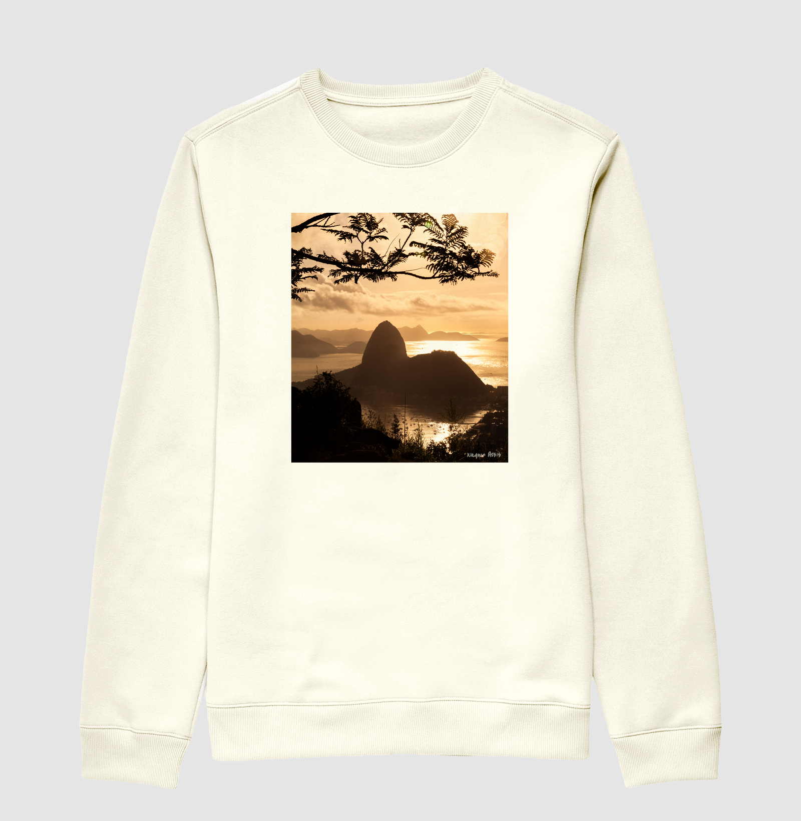 Camisa 1