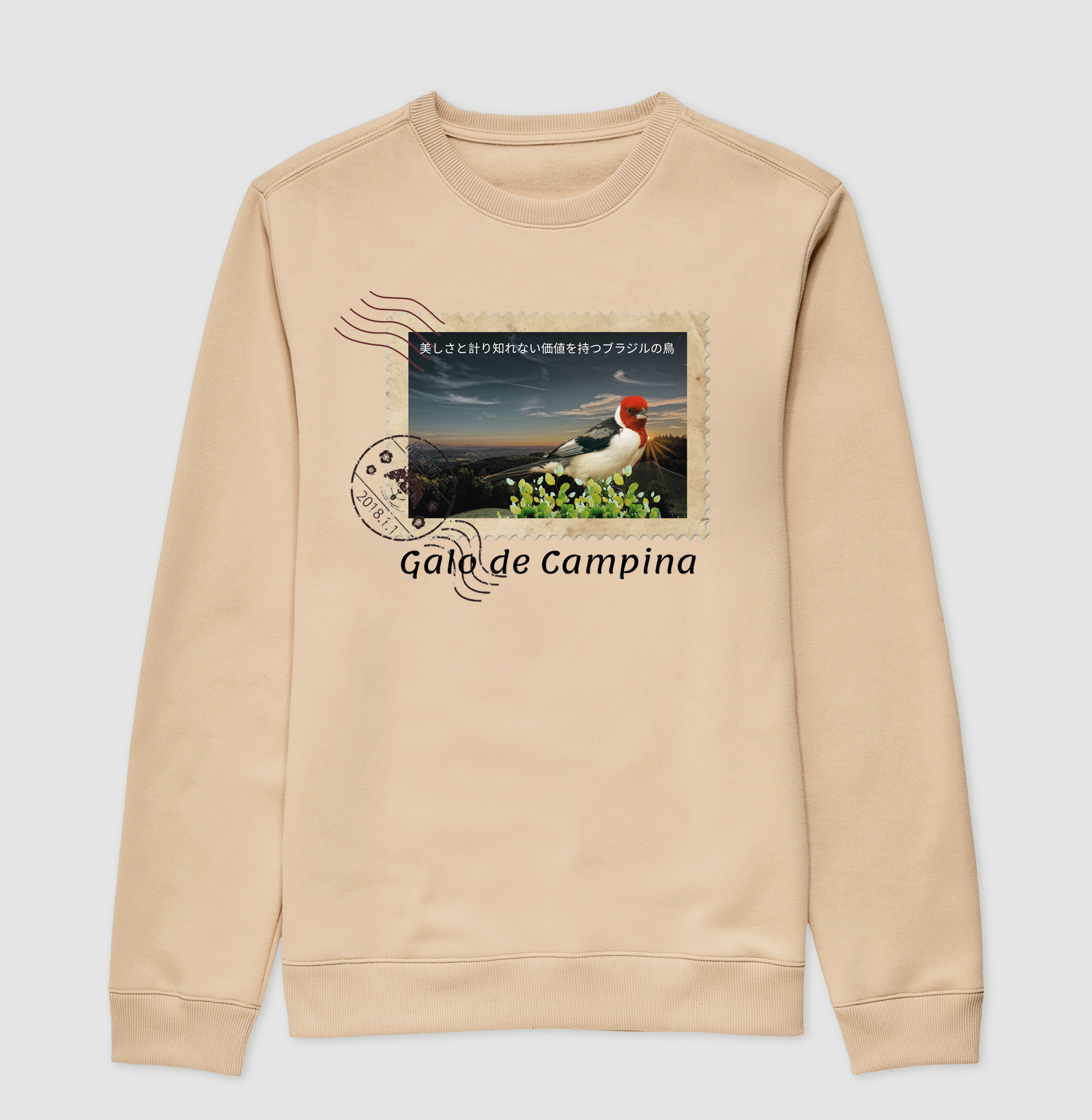 Camisa 2