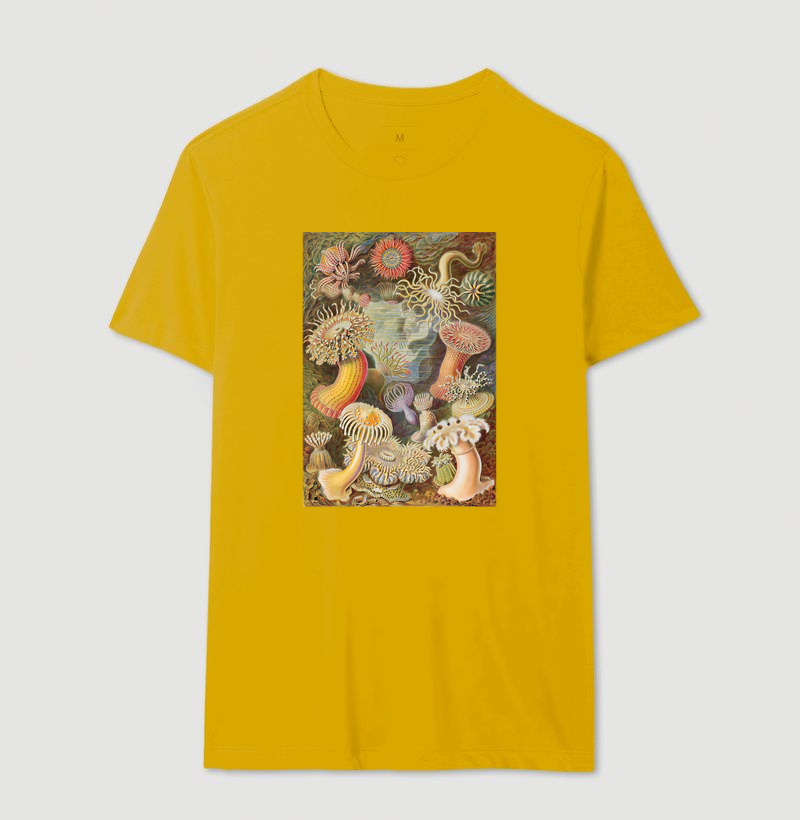 Camisa 13