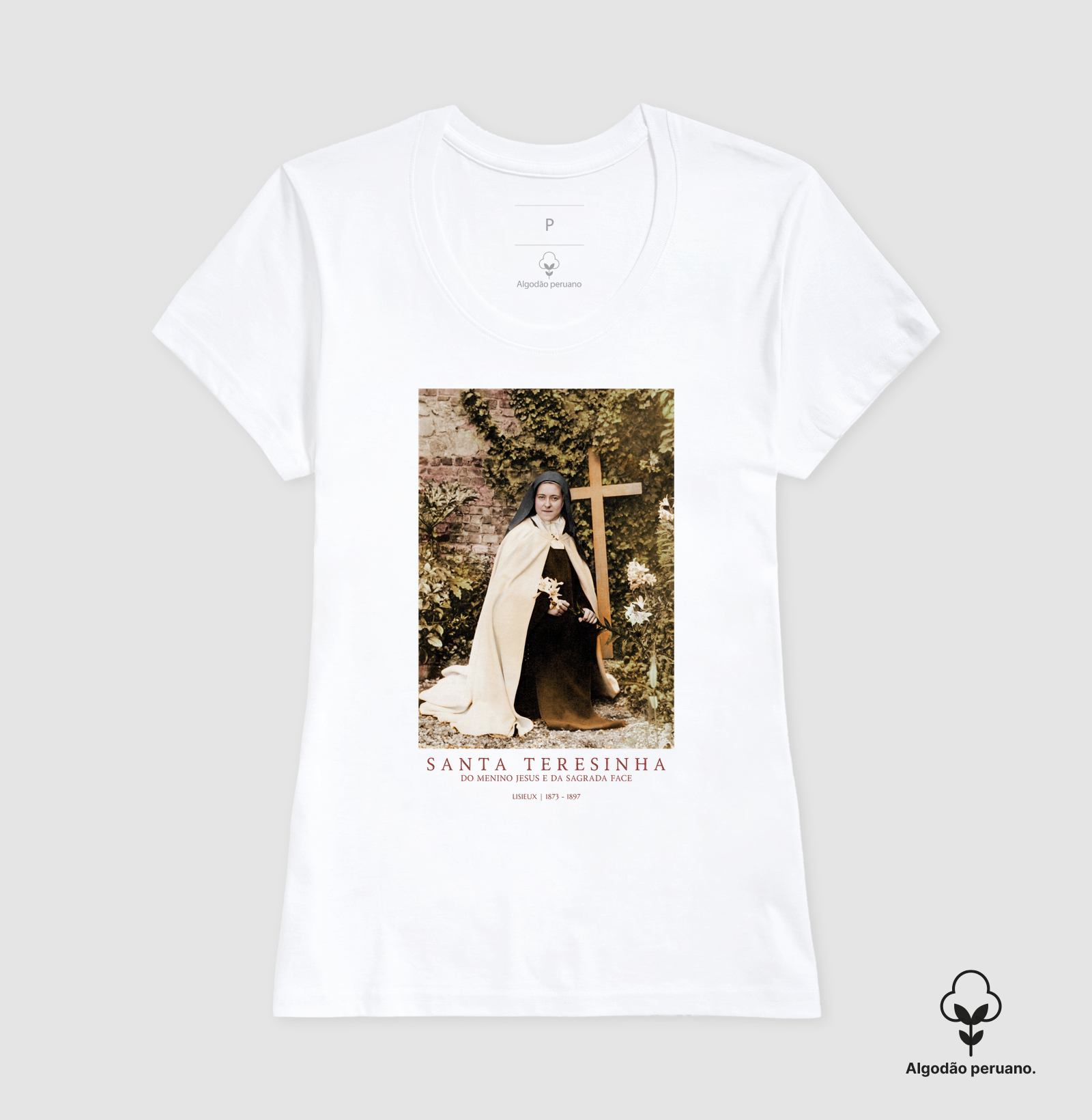 Santa Teresinha 1873-1897