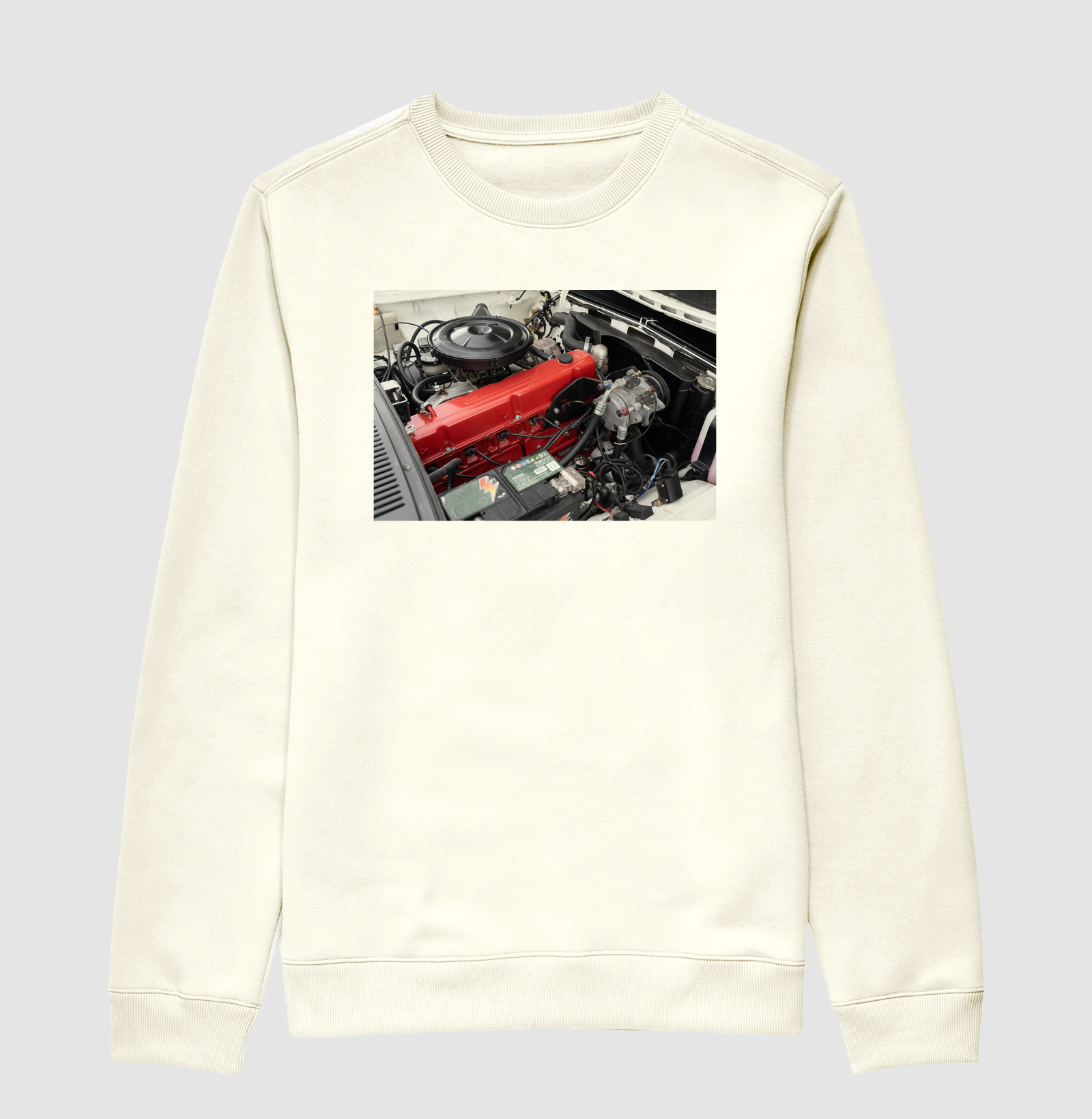 Camisa 1