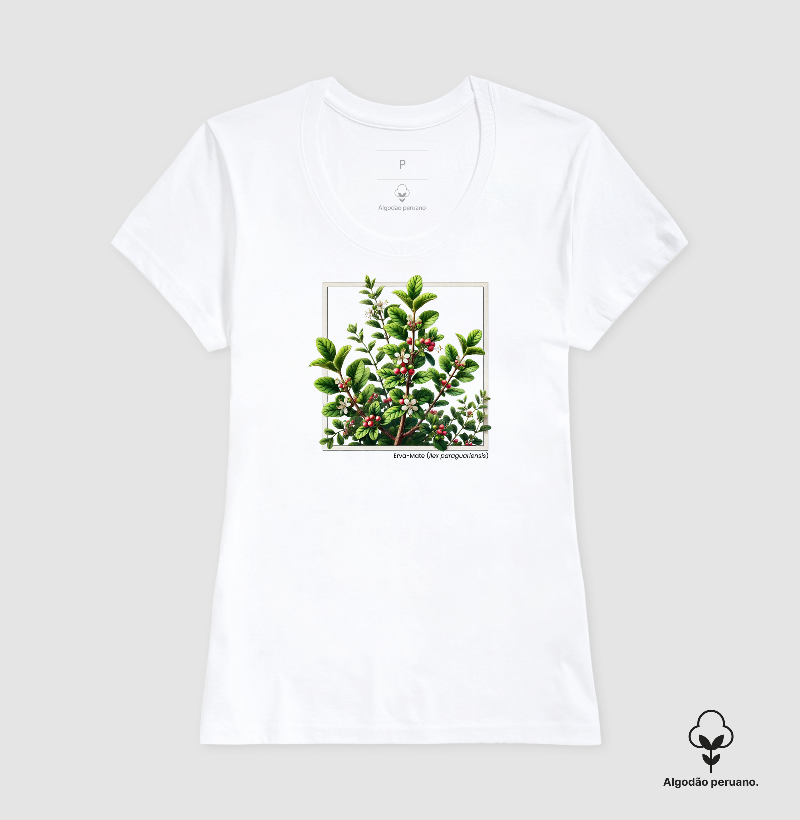 Camisa 4