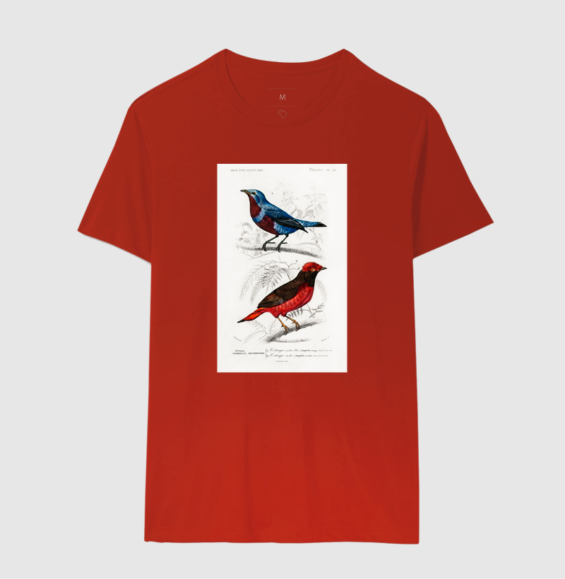 Camisa 9