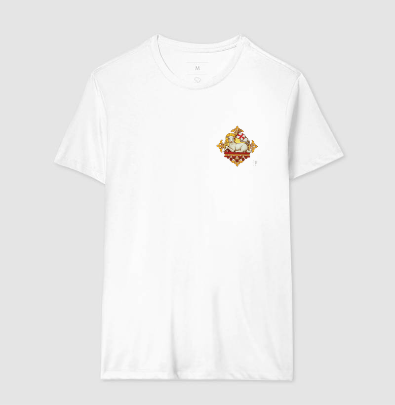 Camisa 15